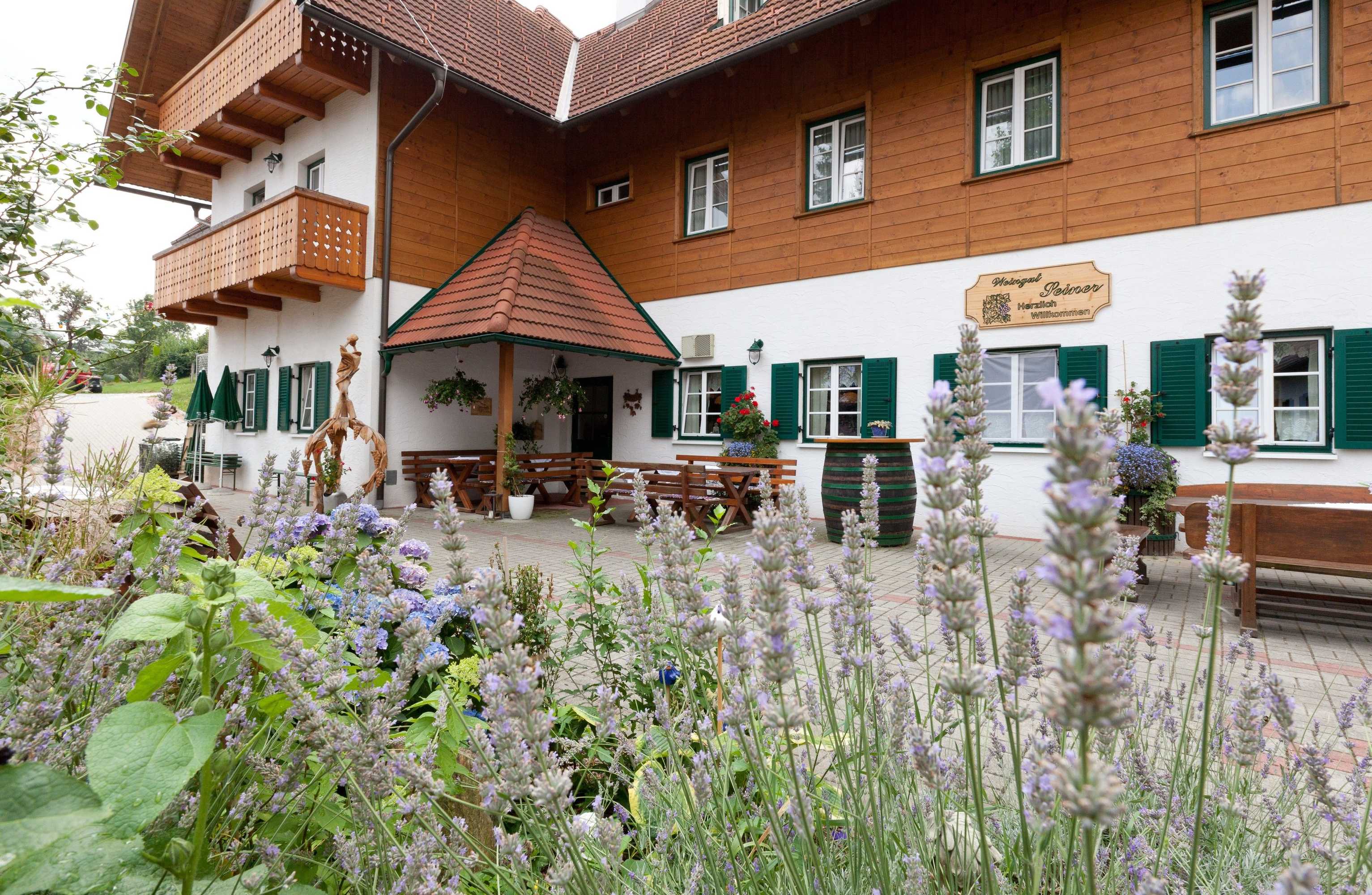 Gift card for Weingut Seiner Vlg. Kraxner Gift card for Weingut Seiner Vlg. Kraxner
