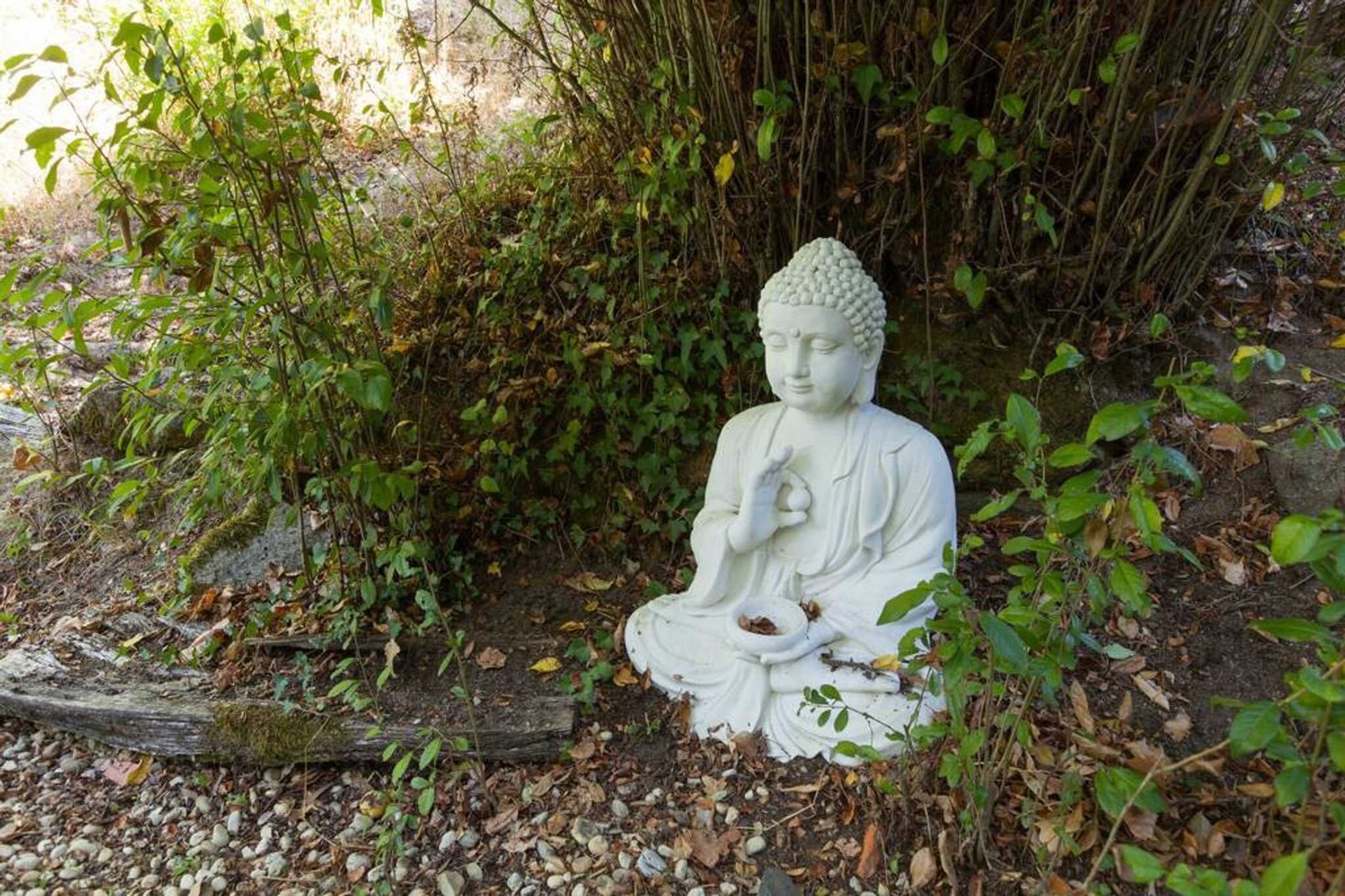 Gift card for Casa Da Terra Land House