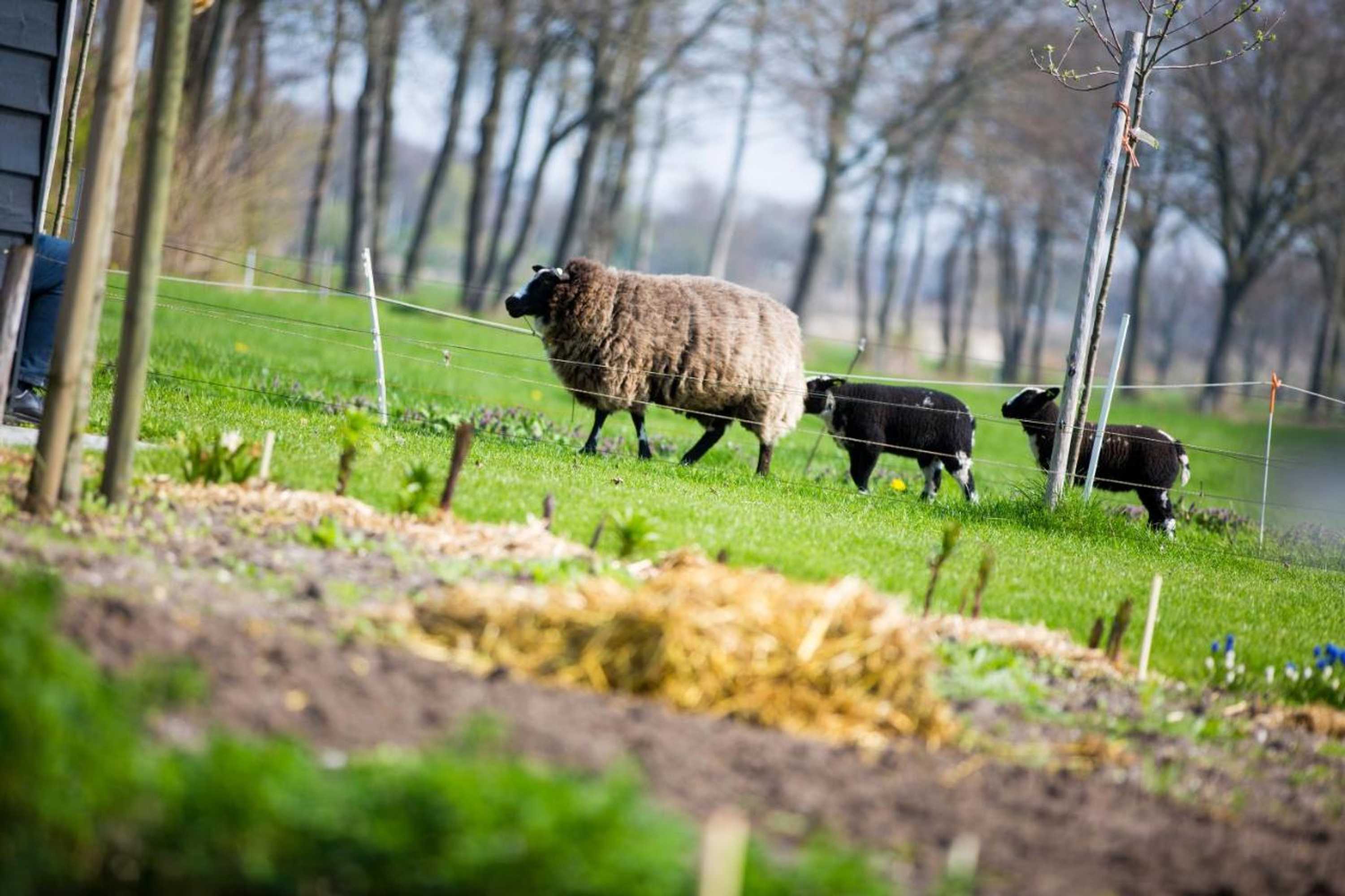 Gift card for B&b De Volkelse Hooiberg