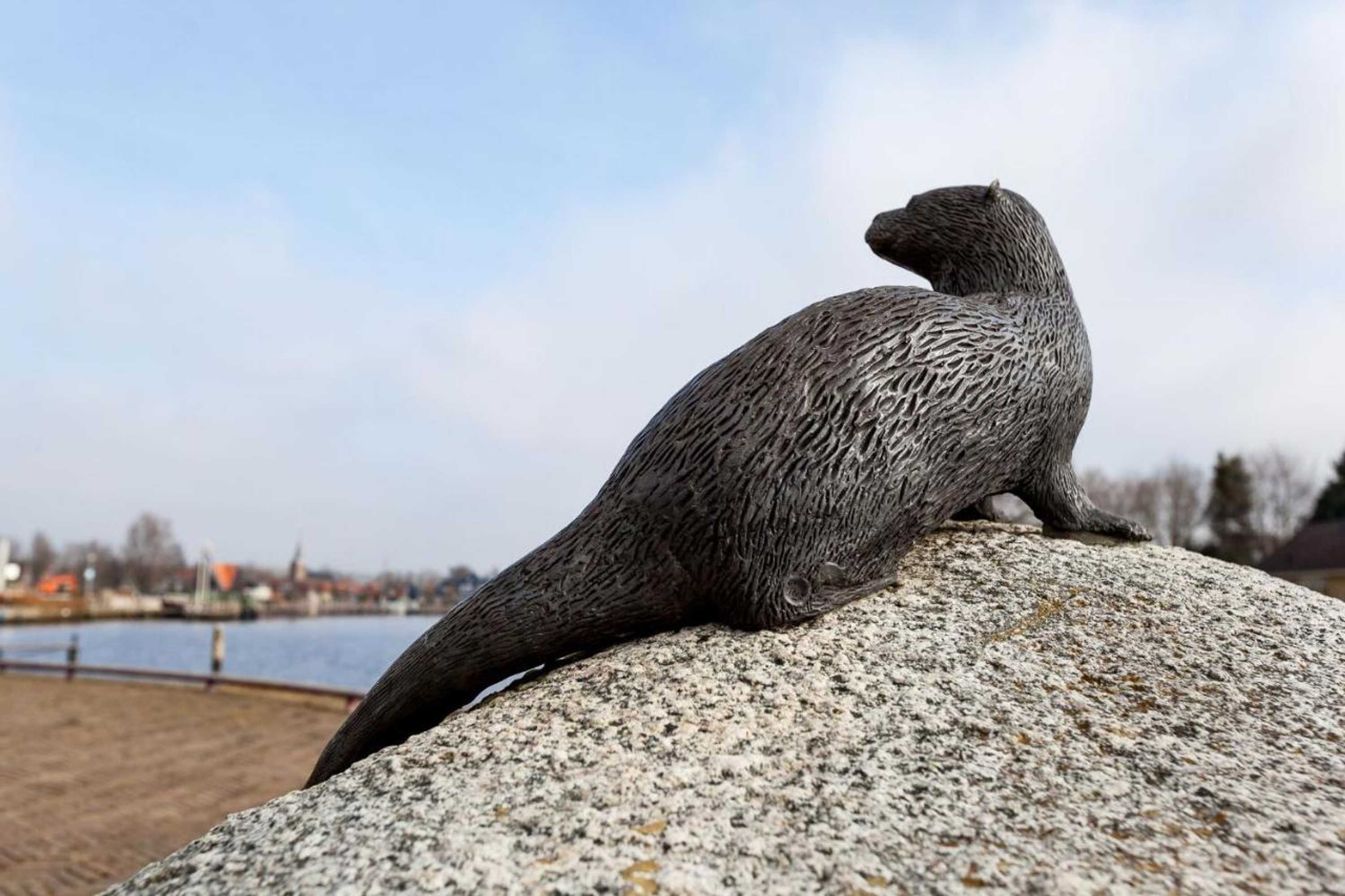 Gift card for Bed And Breakfast Simmerwille