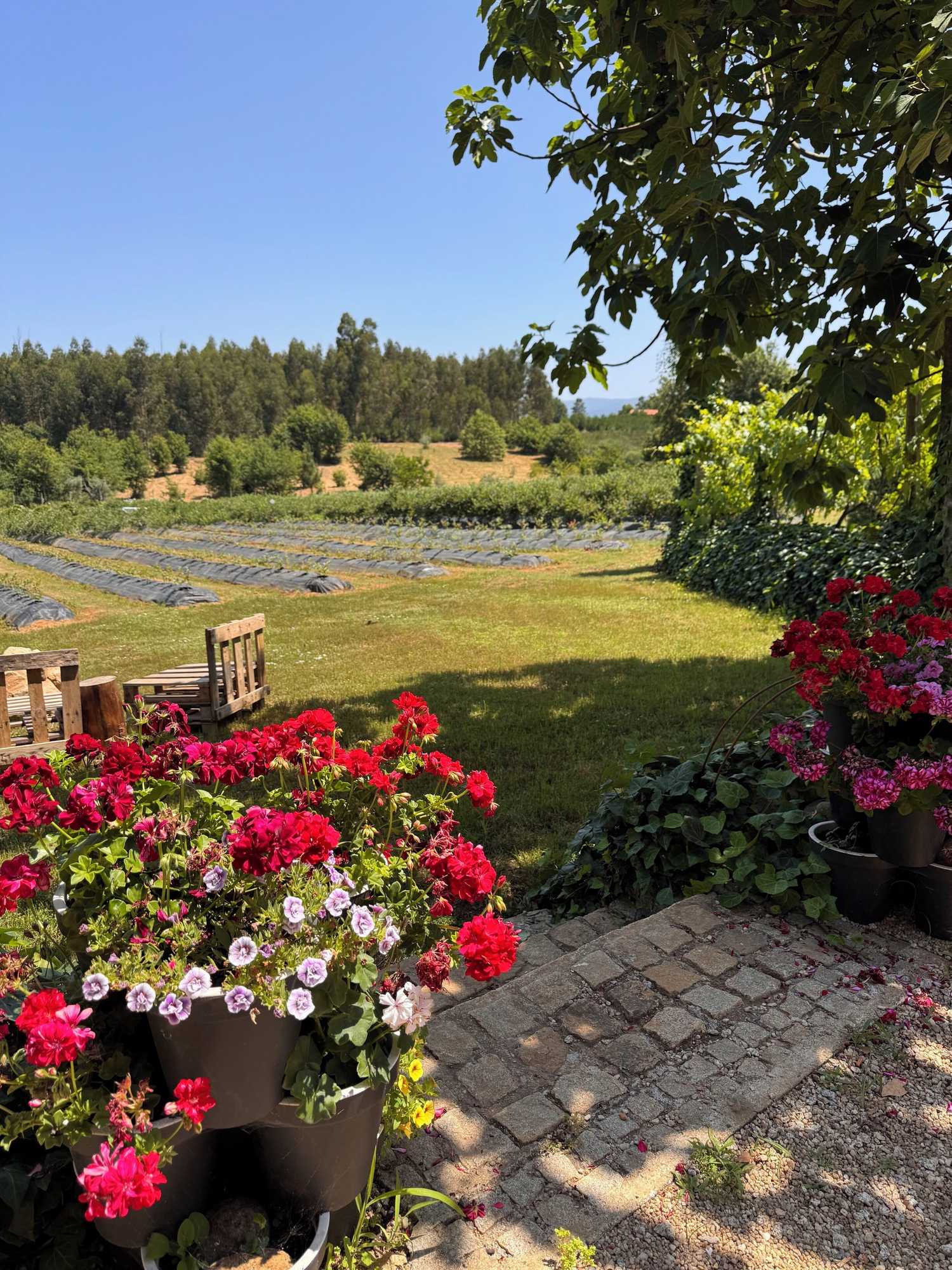 Gift card for Quinta Vale Salgueiro