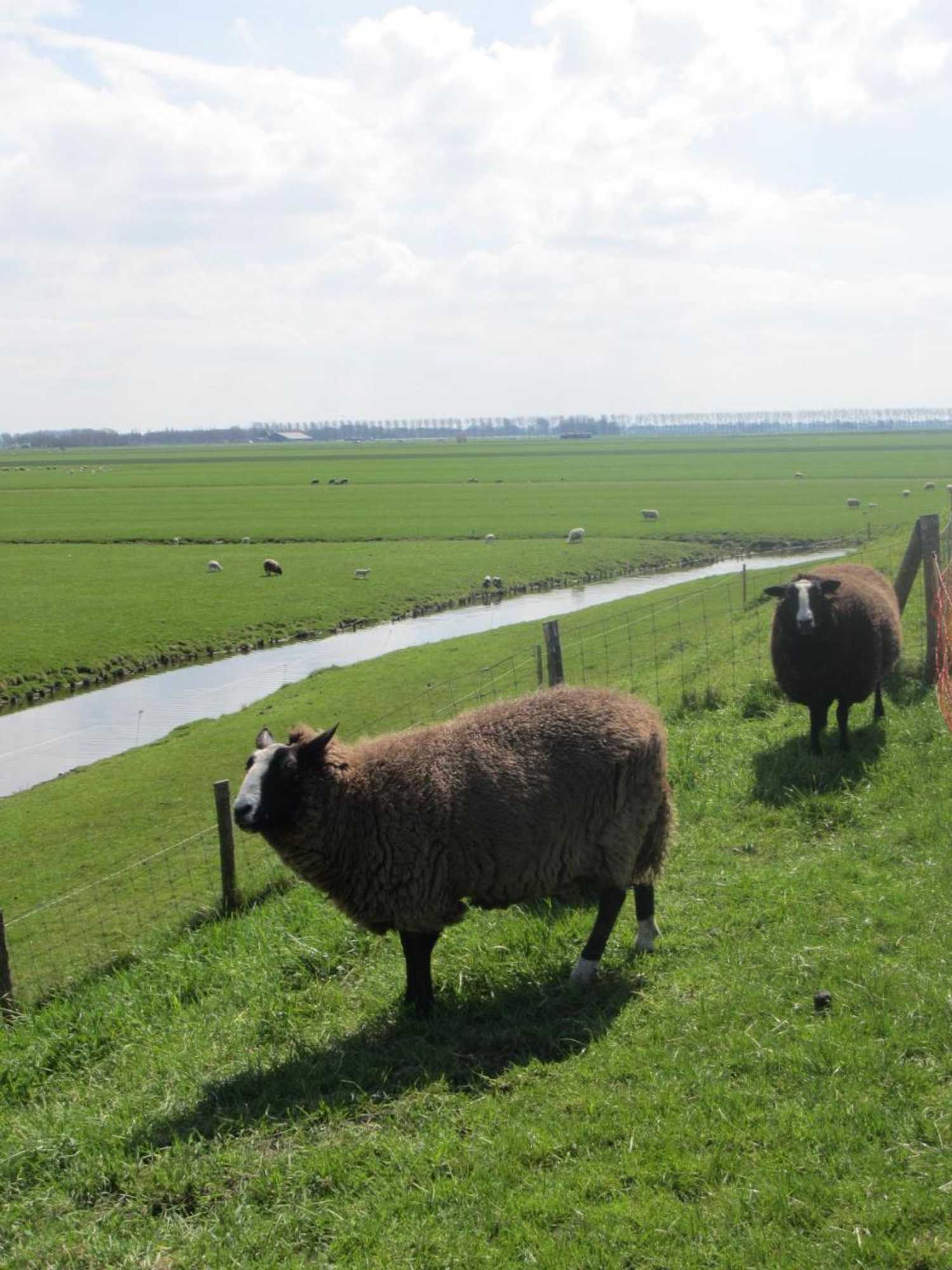 Gift card for Bed&brood De Straverdonk