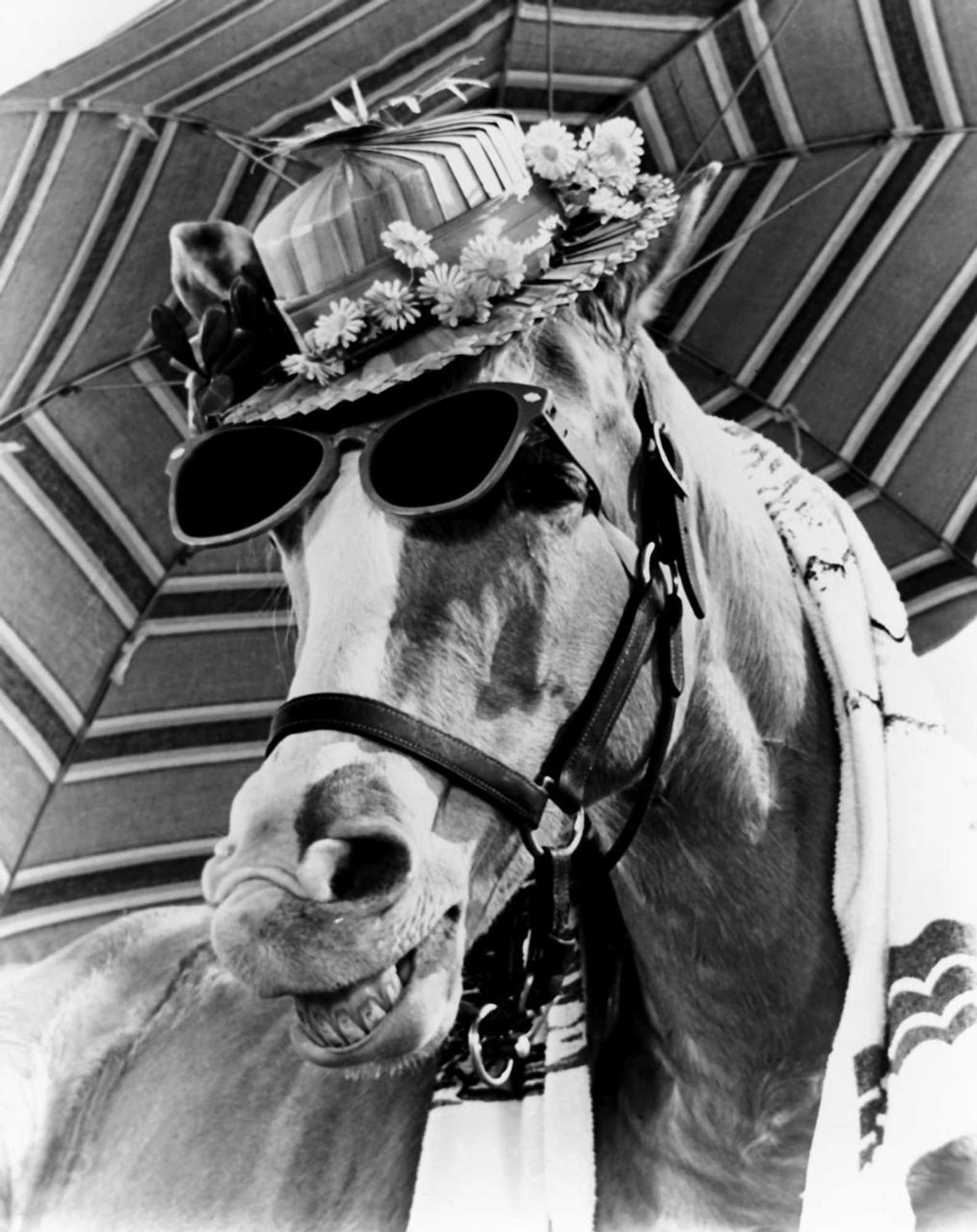 Gift card for Rose City Caravan Park