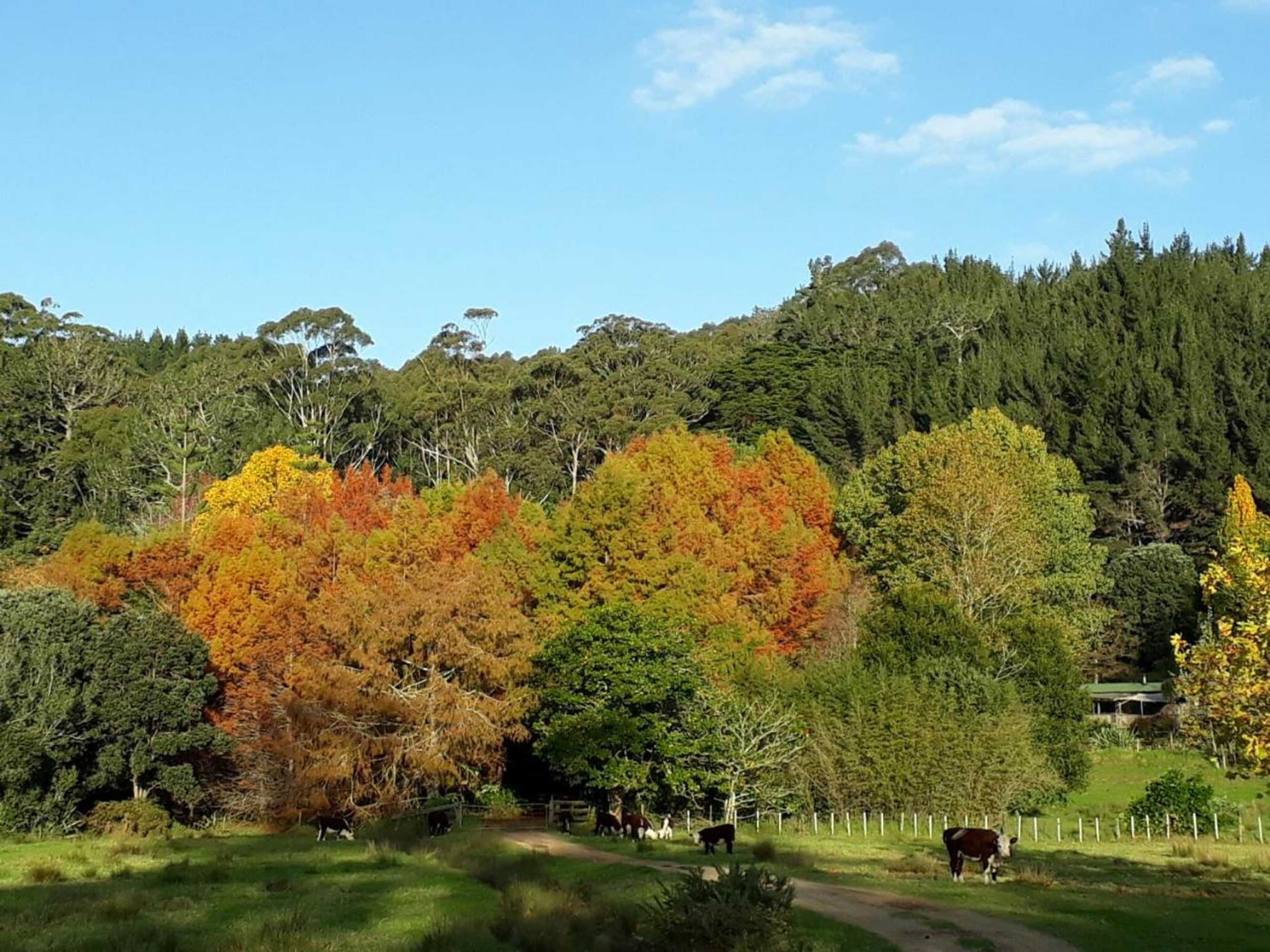 Gift card for Takou River Lodge 