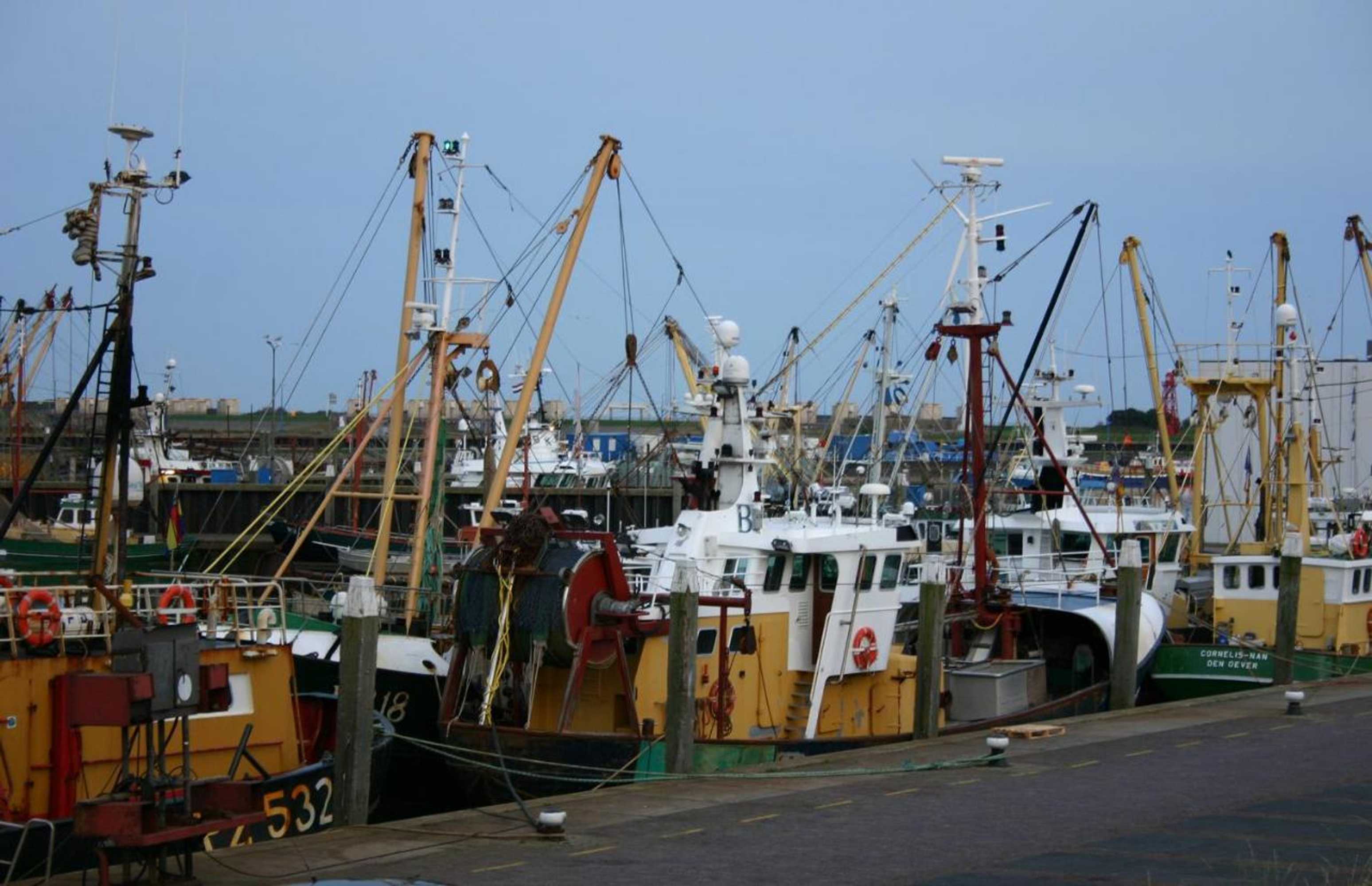 Gift card for Het Huis Van de Wadden