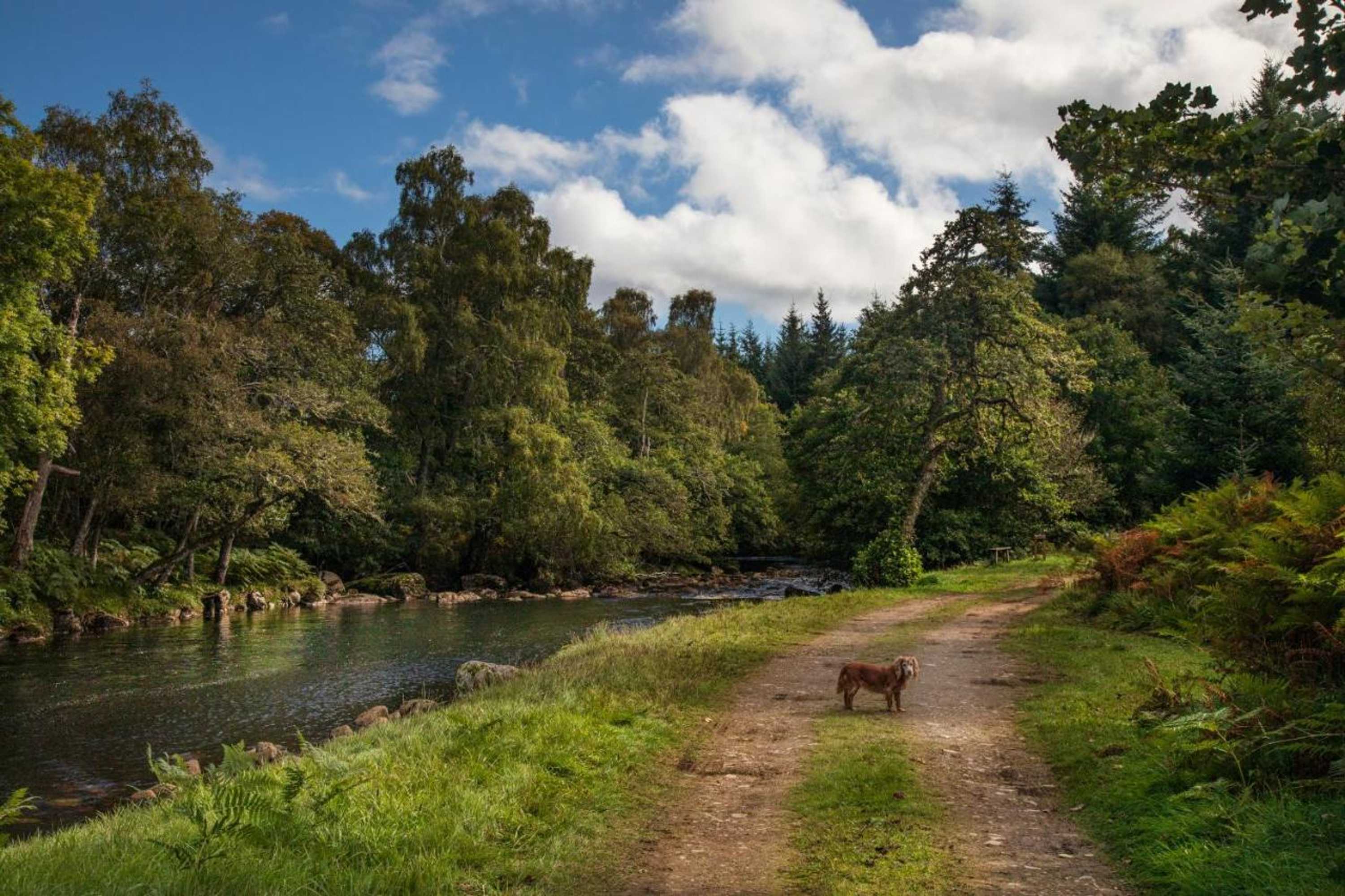 Gift card for Cuillich Mill Bed And Breakfast in The Highlands