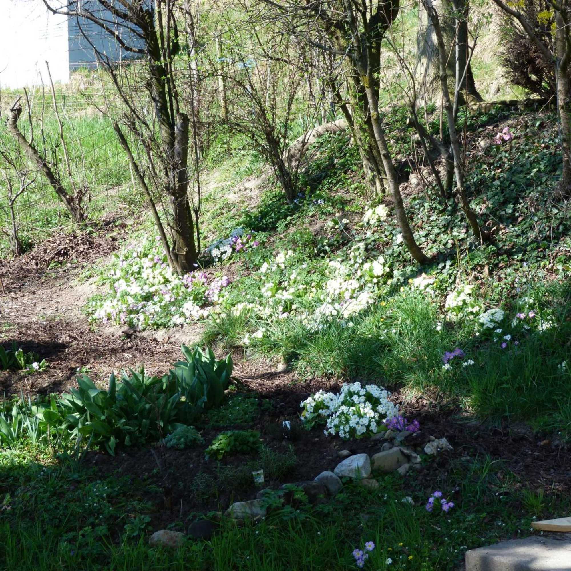 Gift card for Bnb Goldberg