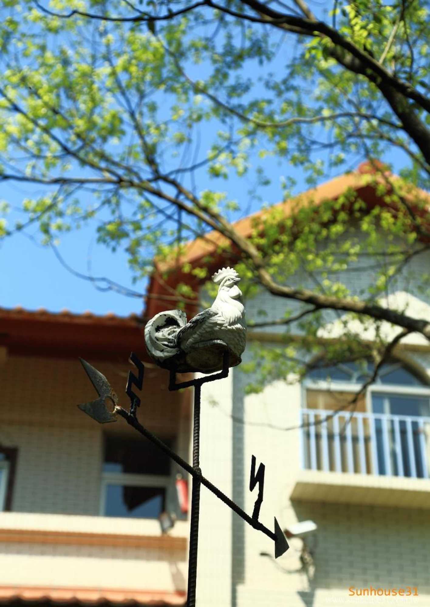 Gift card for Xiangyang Tianyuan