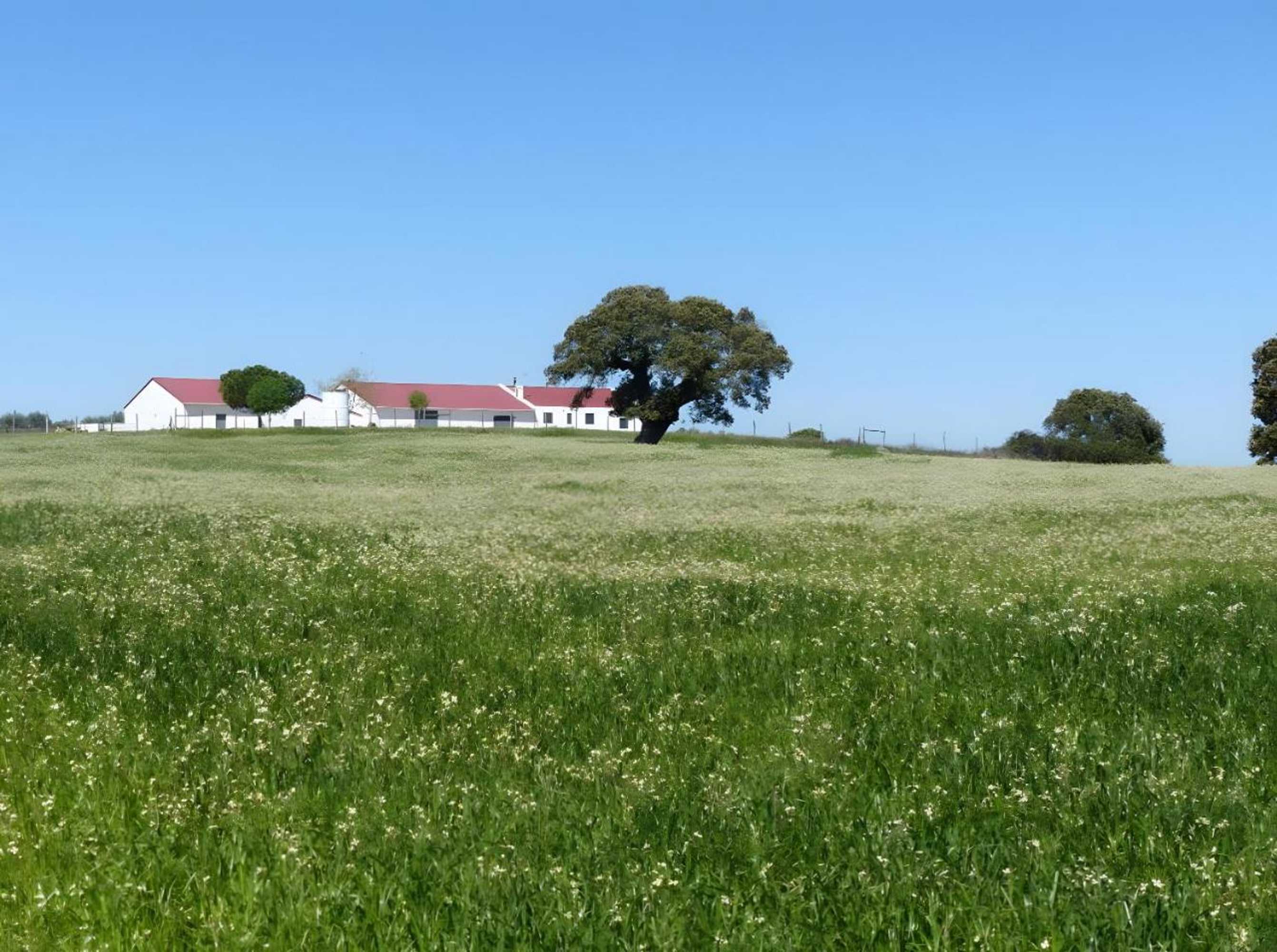 Gift card for Herdade da Carapuça