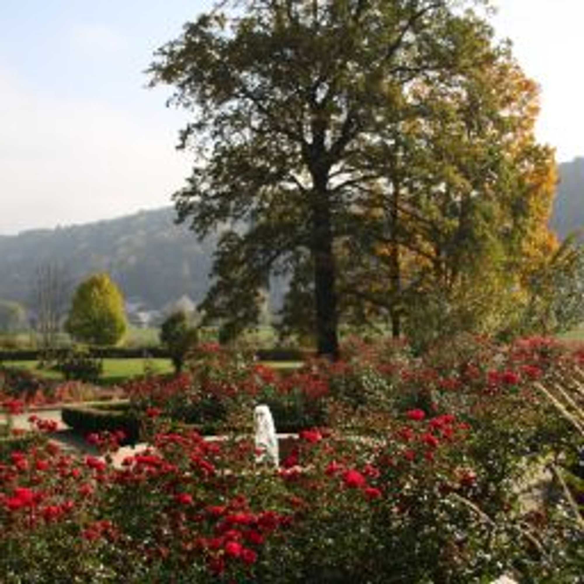 Gift card for Parkhotel Bad Schandau Mit Spa Gift card for Parkhotel Bad Schandau Mit Spa