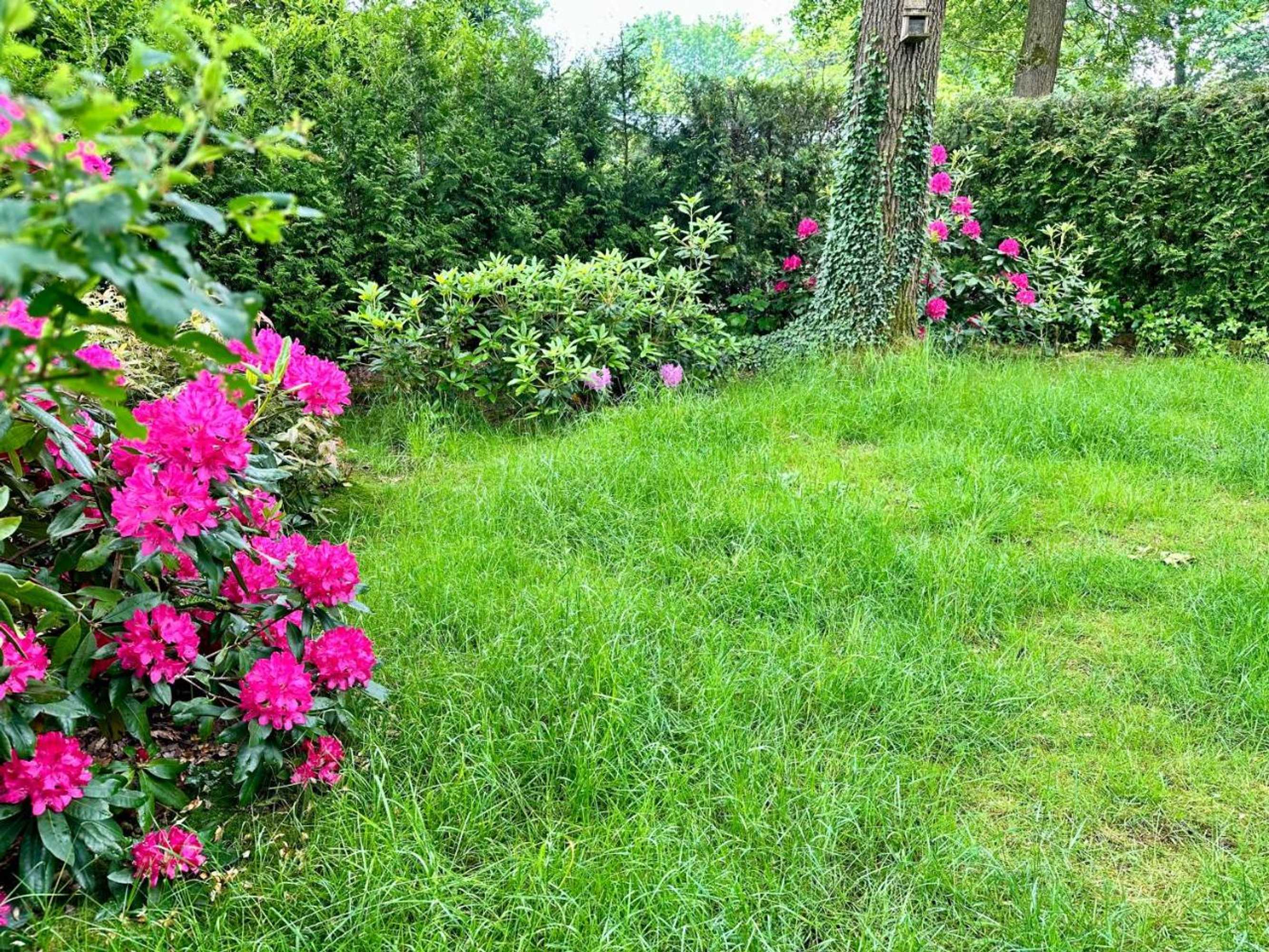 Gift card for Vakantie Veluwe