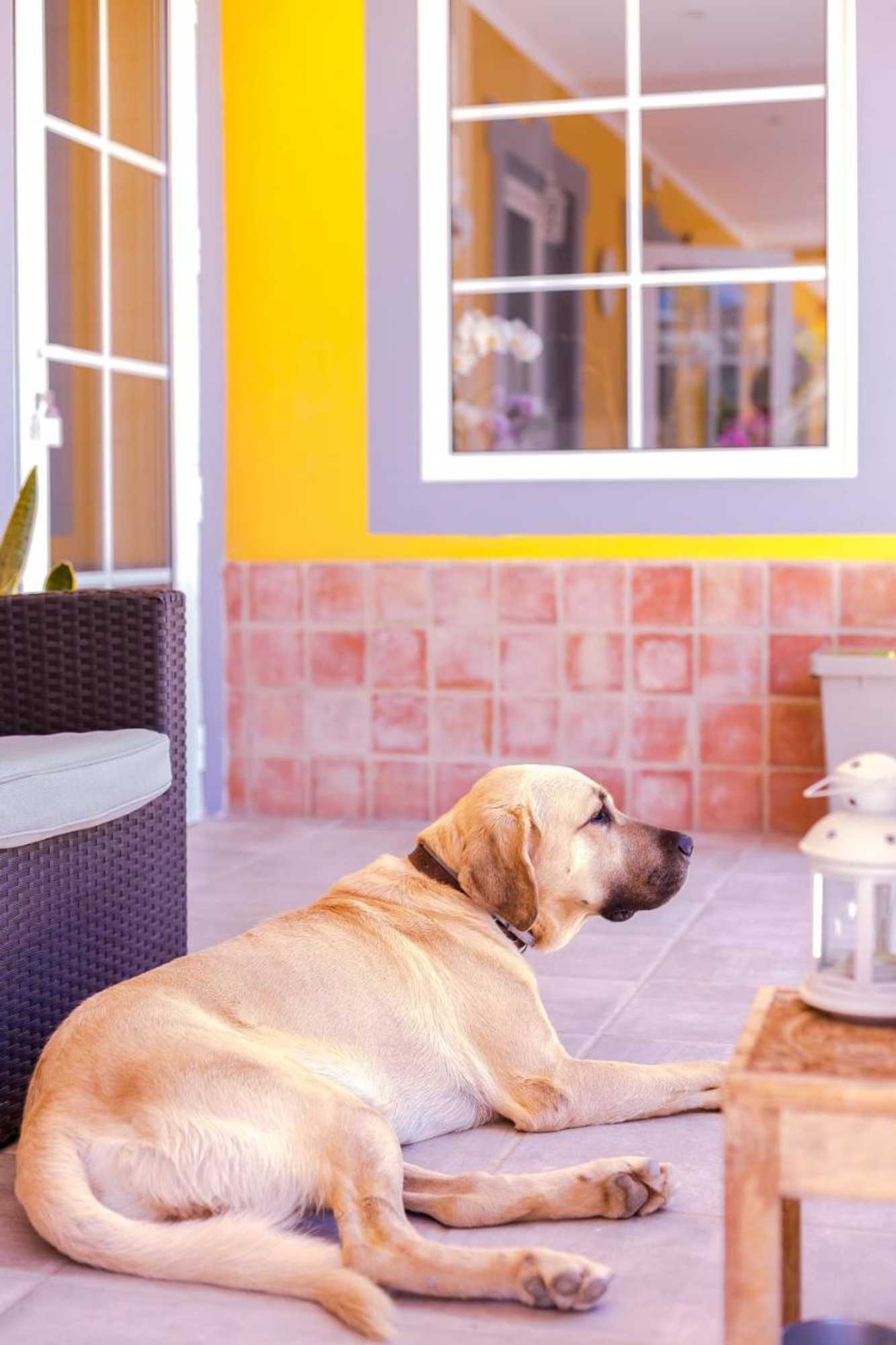 Gift card for Almargem Lusitano