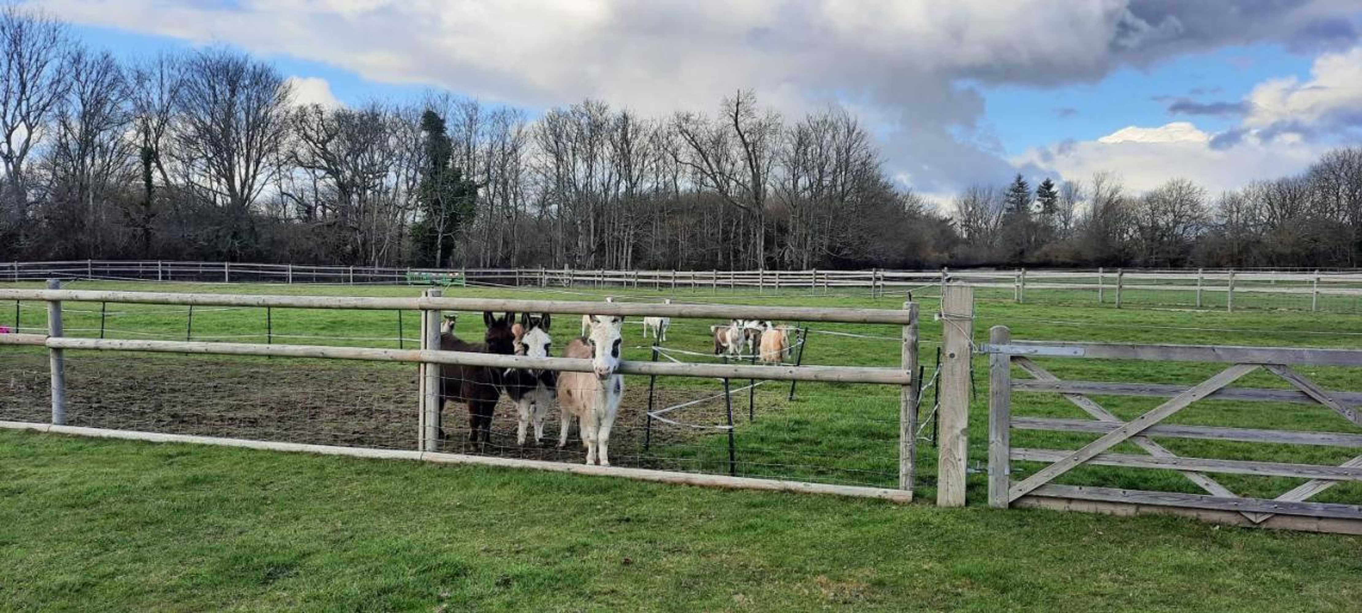 Gift card for Blashford Manor Farmhouse - New Forest Cottage Gift card for Blashford Manor Farmhouse - New Forest Cottage