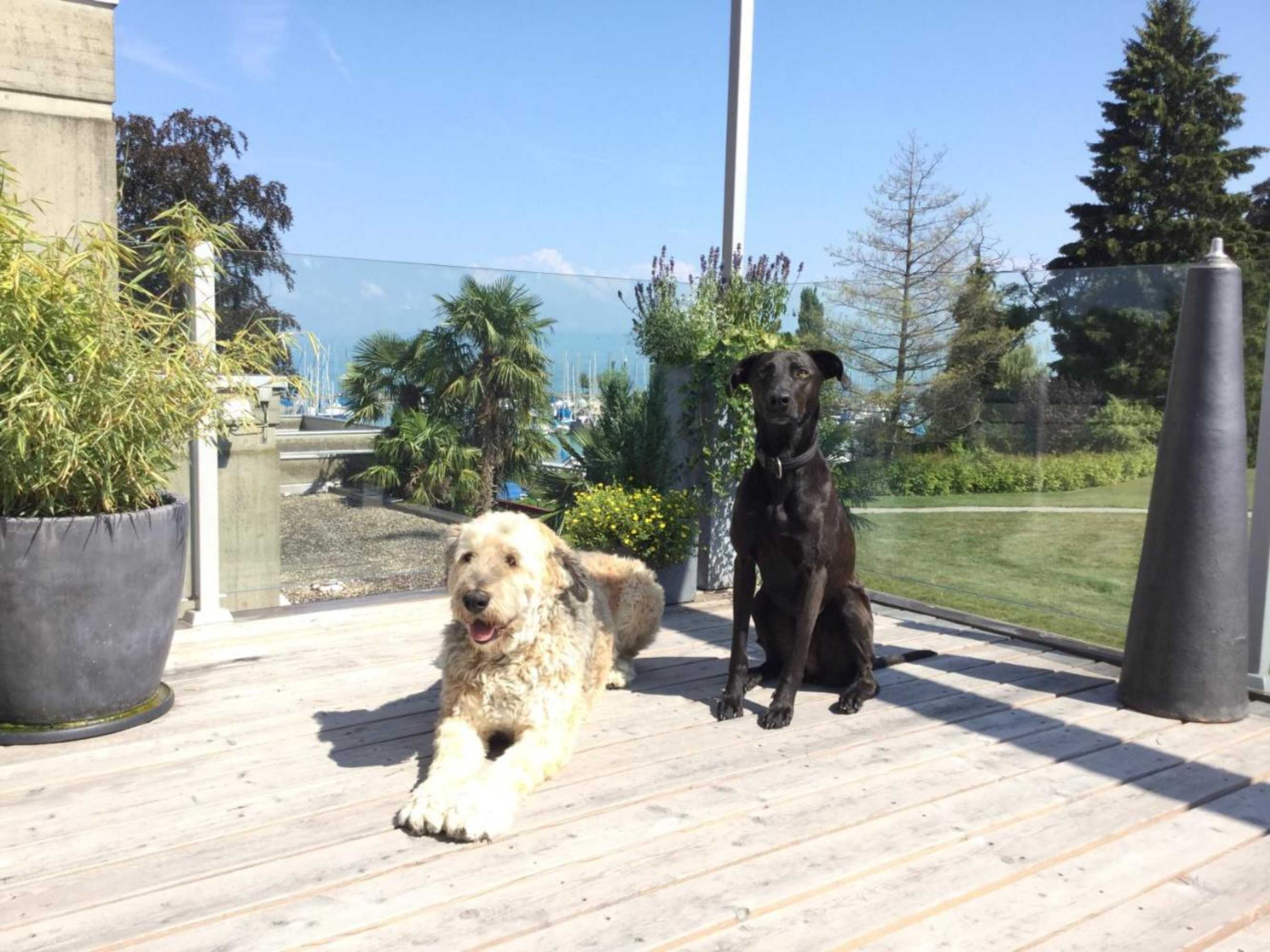 Gift card for Lakelodge Romanshorn