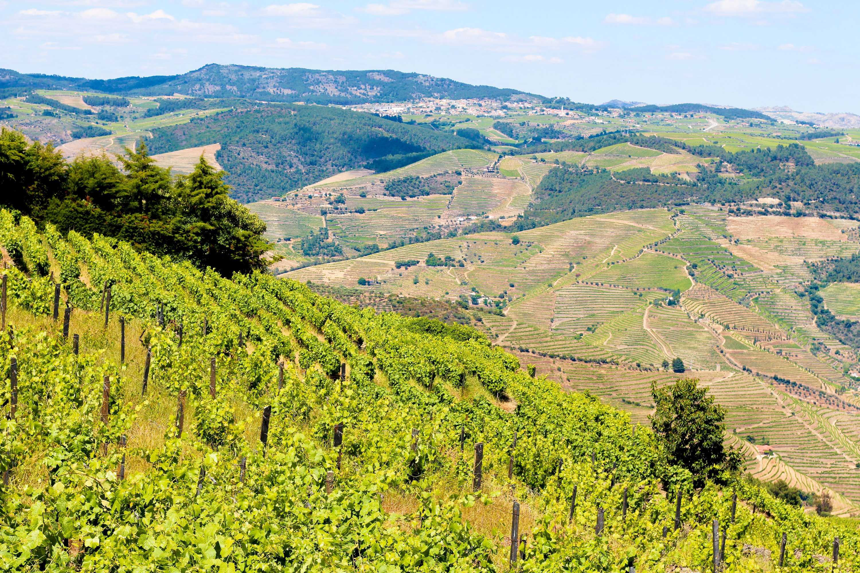 Gift card for Galafura Design House