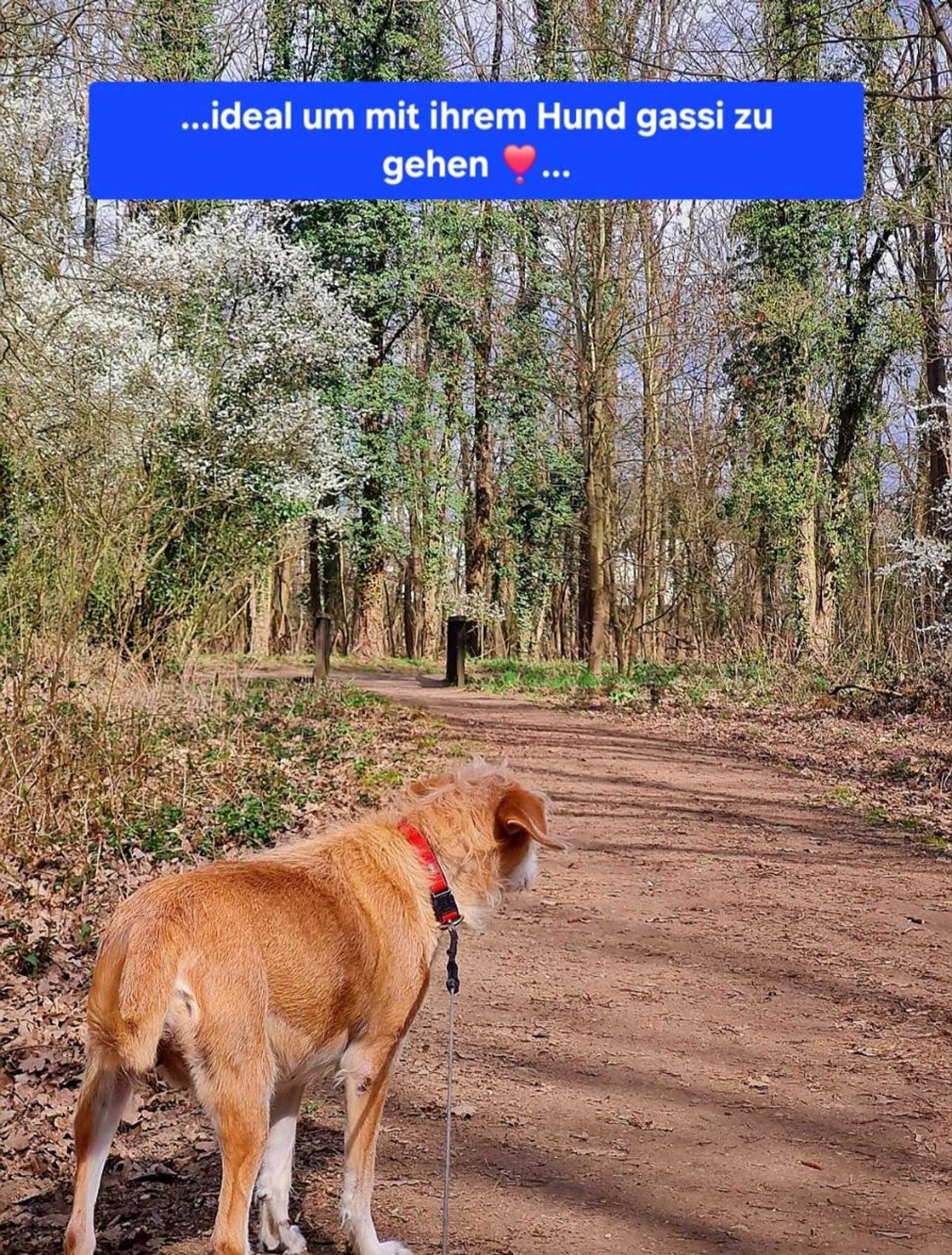 Gift card for Hotel Reuterhof