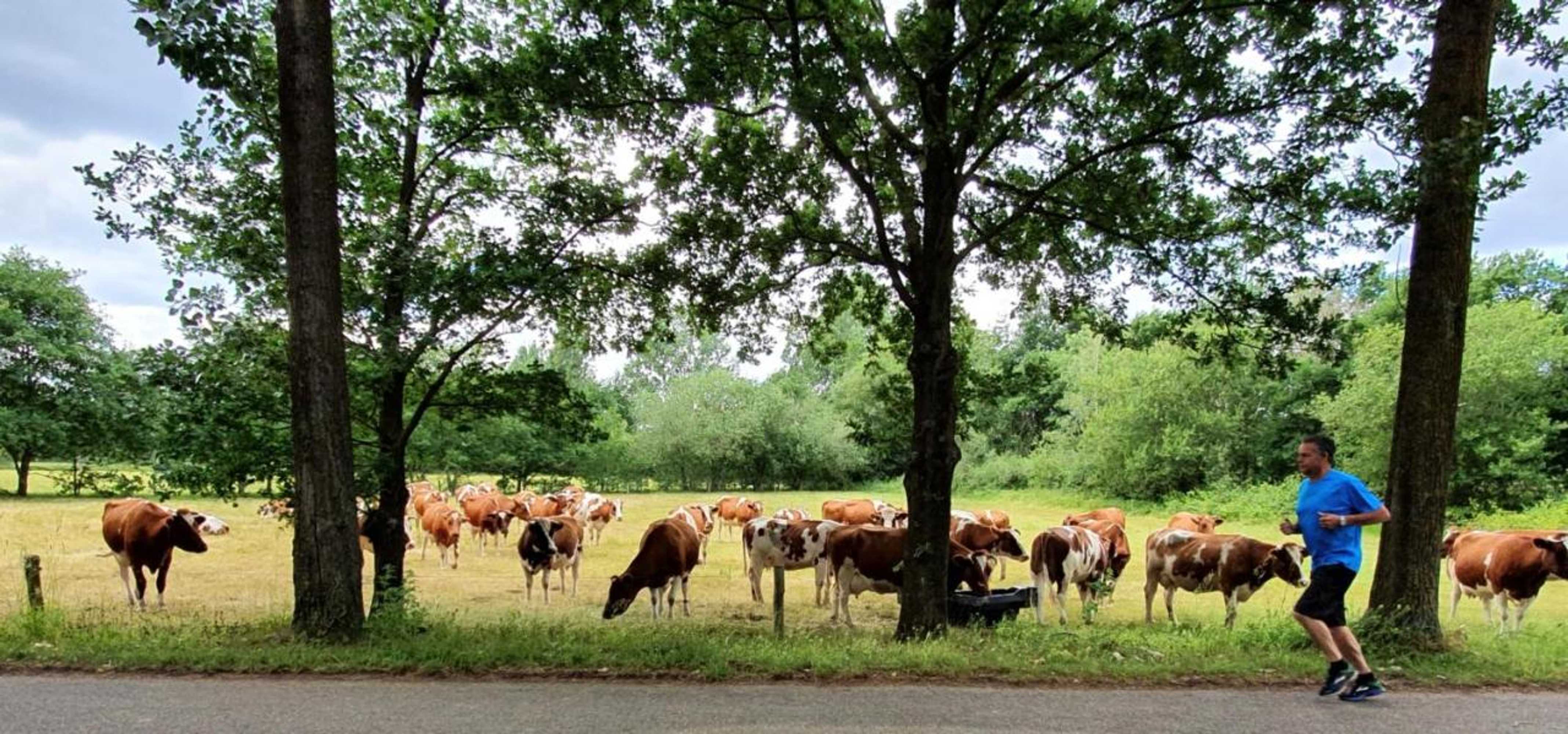 Gift card for Downtown Hideaway, B&b Grand Deluxe