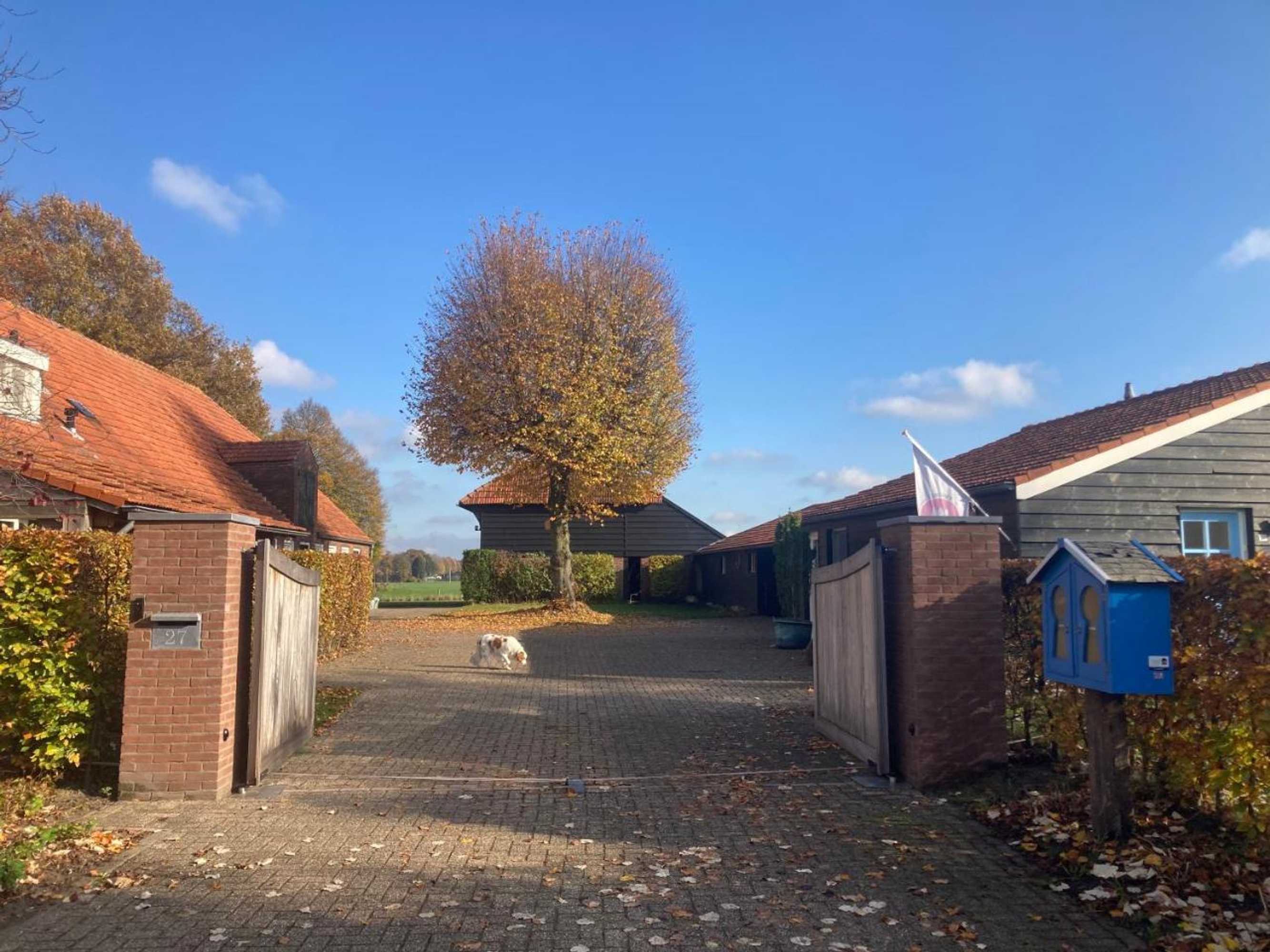 Gift card for Boeren Burgers Buitenlui