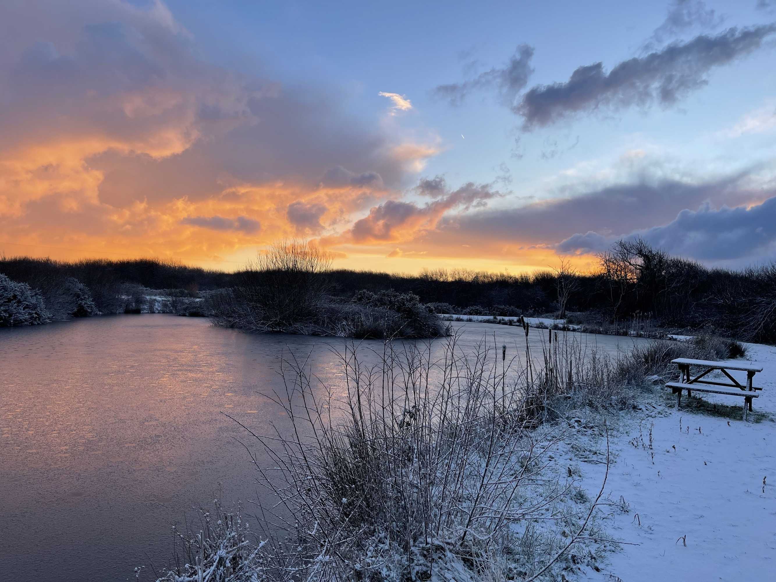 Gift card for Tawny Lodge - 1 Bedroom - Blossom Farm Gift card for Tawny Lodge - 1 Bedroom - Blossom Farm