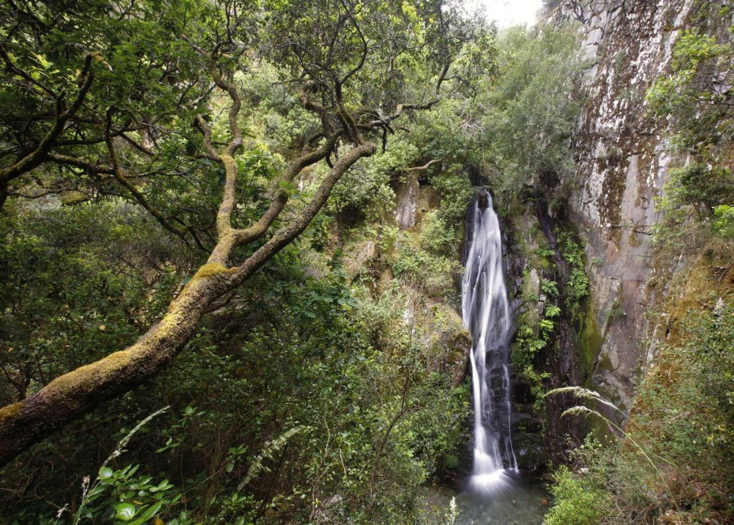 Gift card for Inxisto Lodges