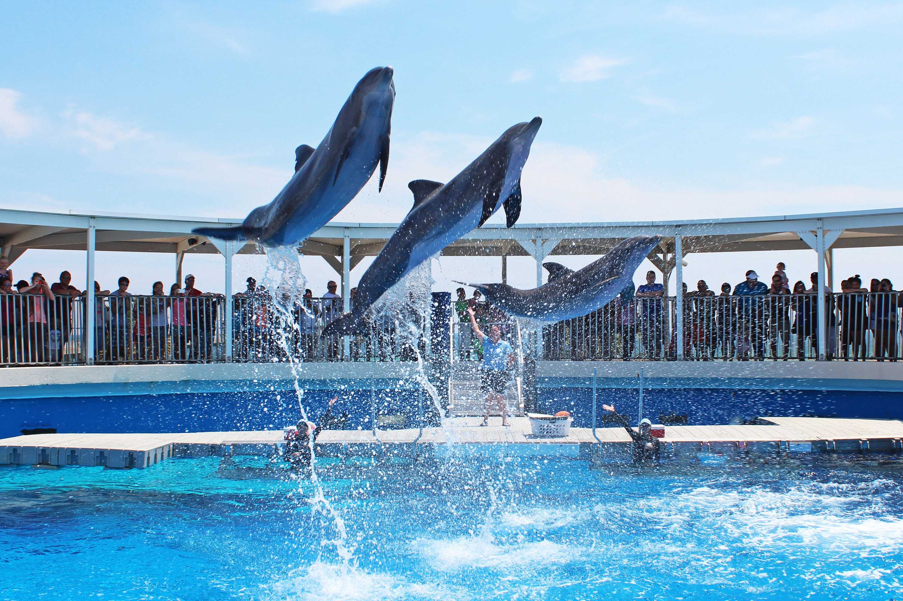 Gift card for Holiday Inn Resort Fort Walton Beach by Ihg Gift card for Holiday Inn Resort Fort Walton Beach by Ihg