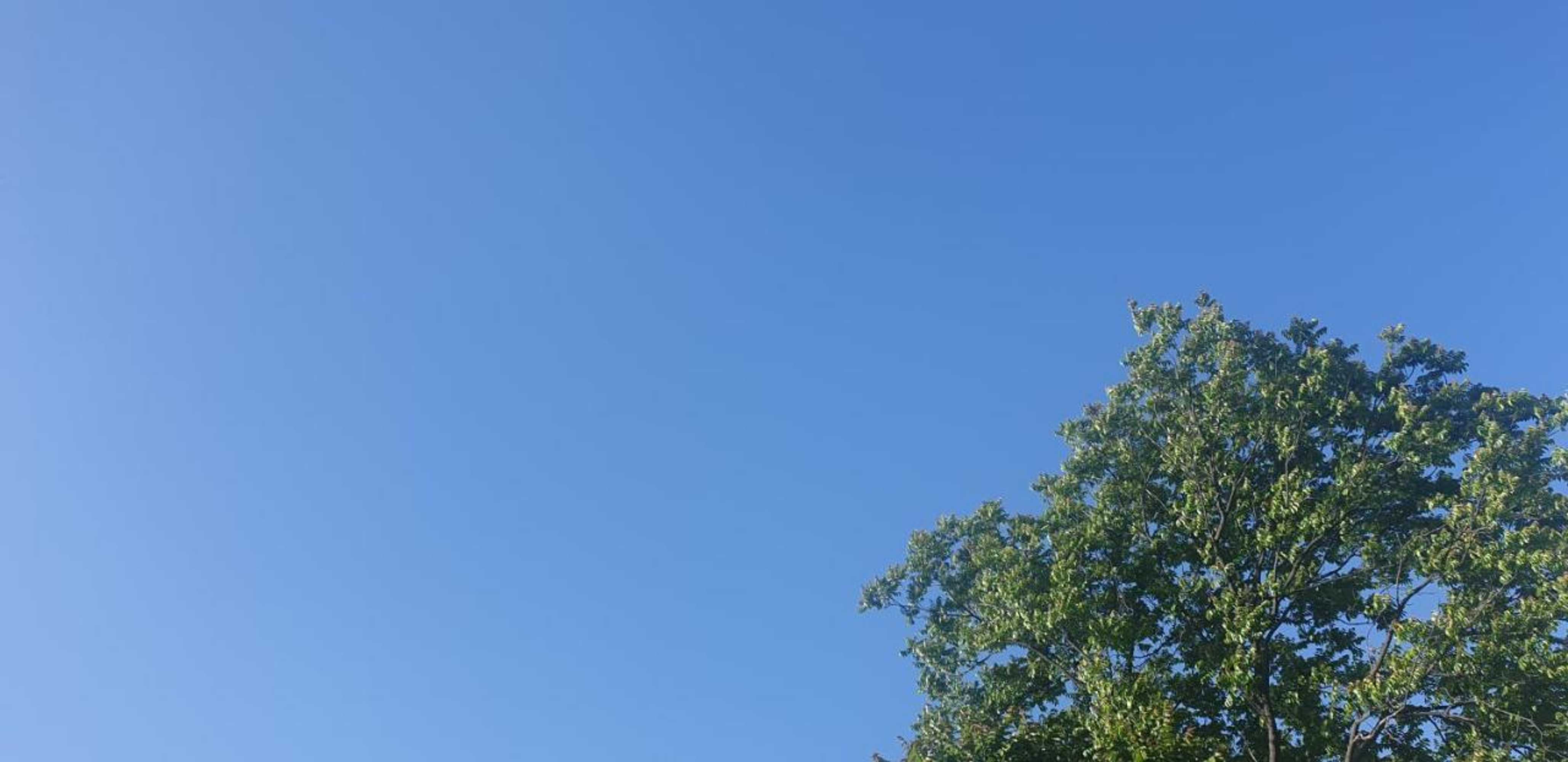 Gift card for Aanantham by Maliks Gift card for Aanantham by Maliks