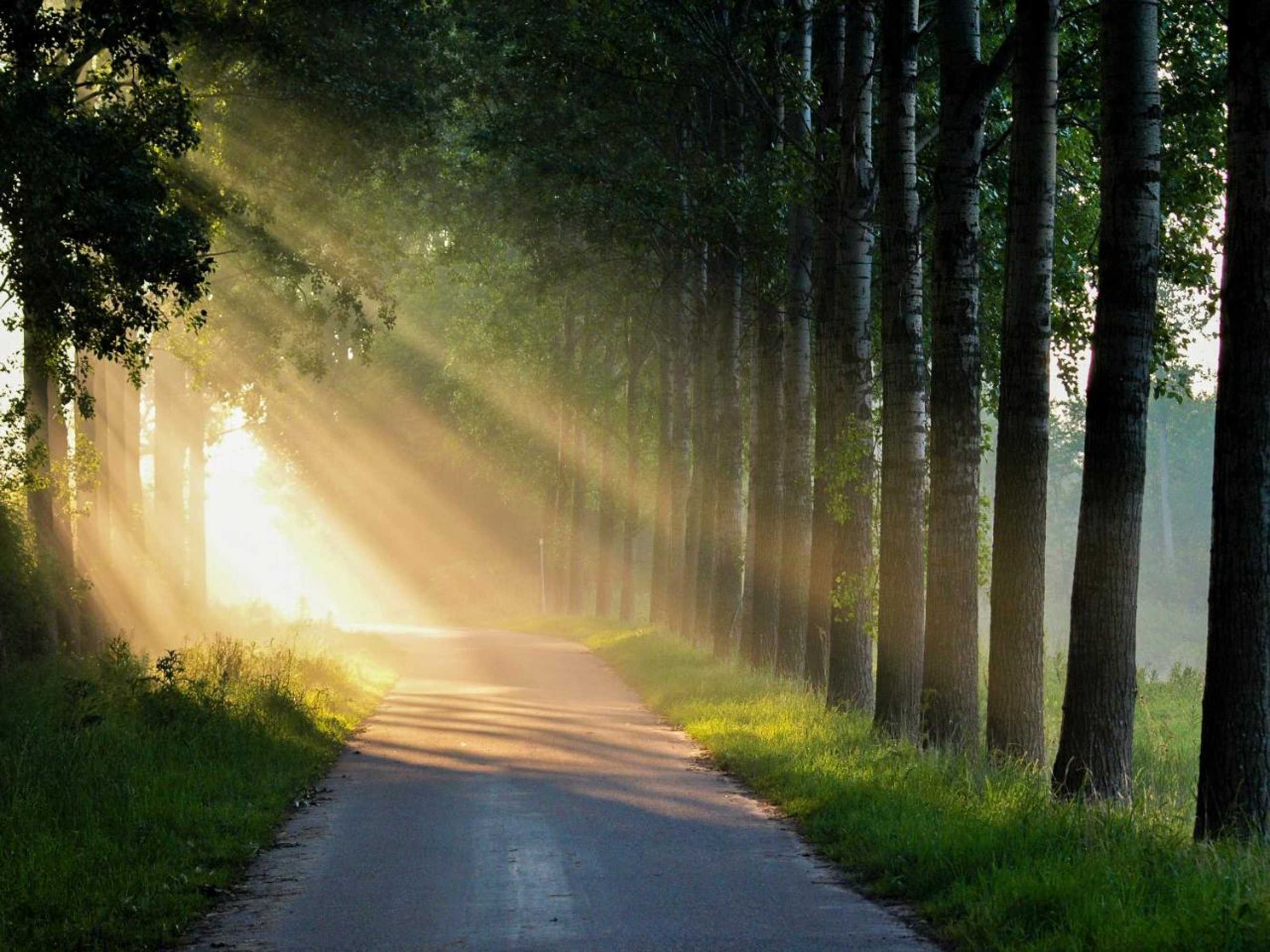 Gift card for Bed & Breakfast De Schuur Inn