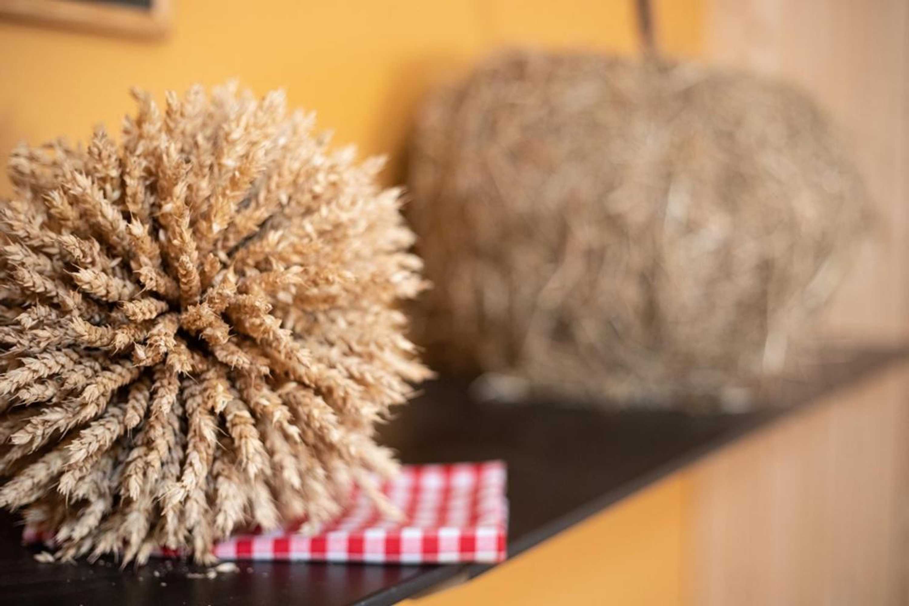 Gift card for Hof-Tschannen