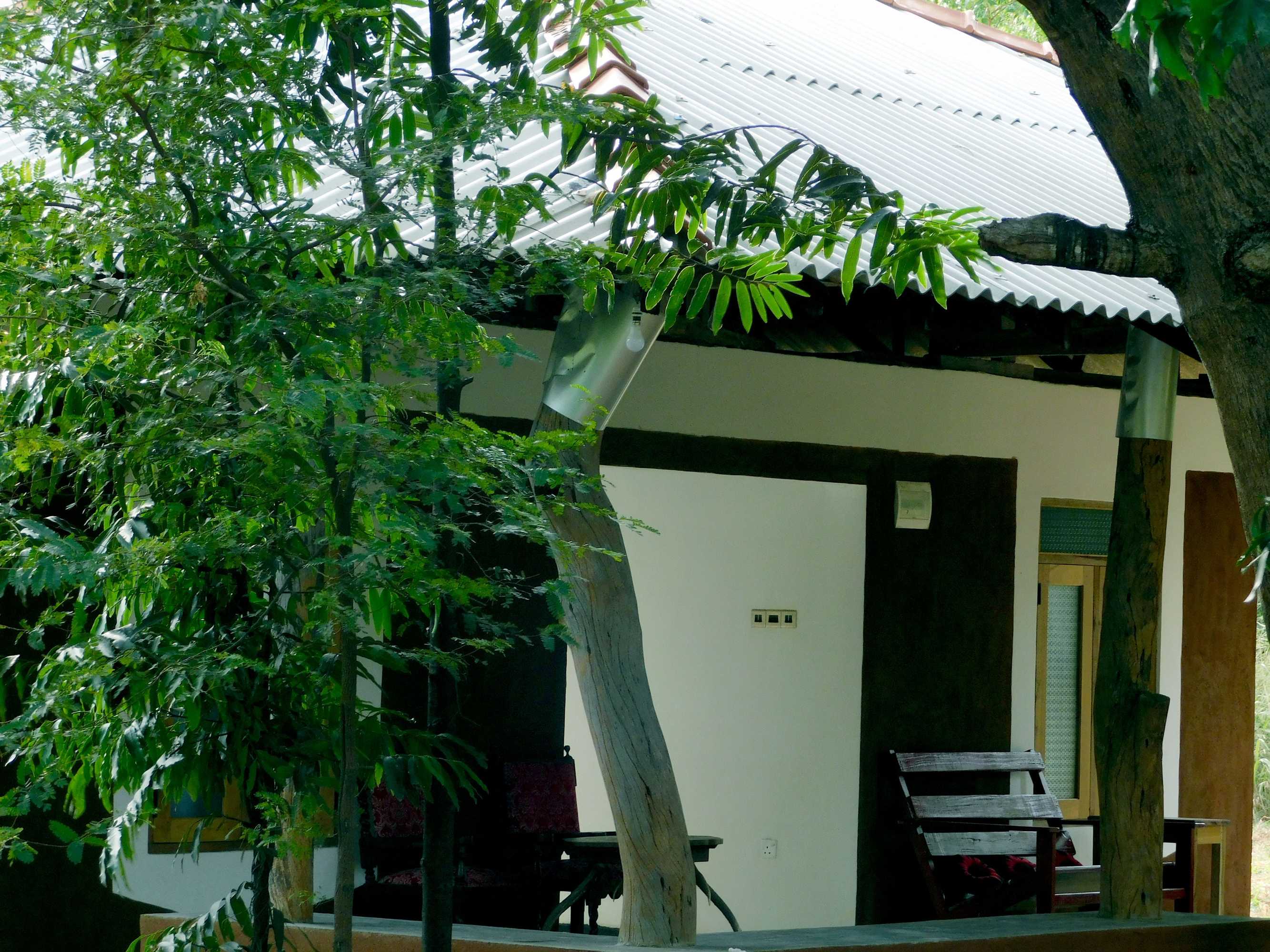 Gift card for Yala Avian Eye Safari Gift card for Yala Avian Eye Safari