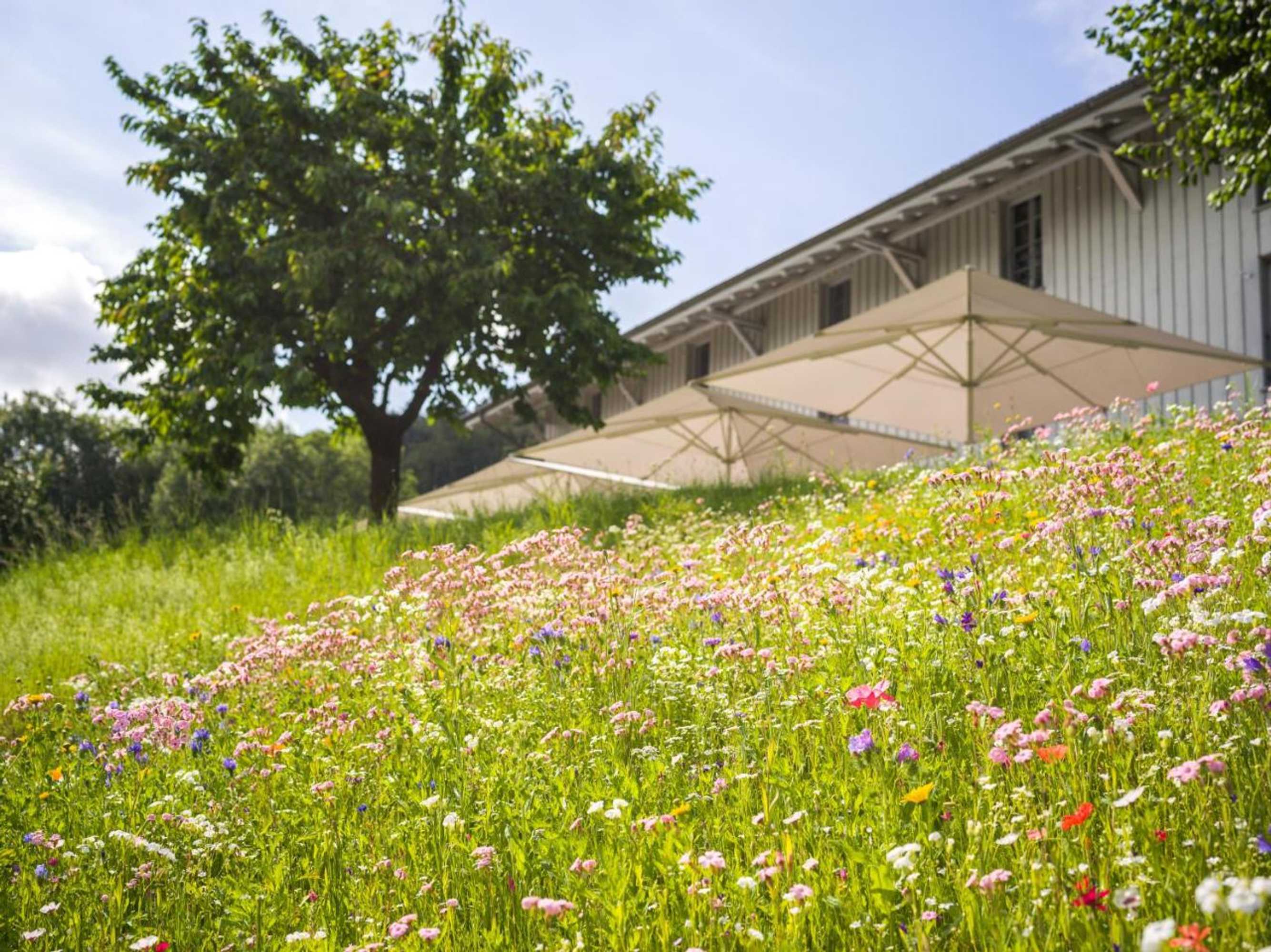 Gift card for Schloss Freudenfels