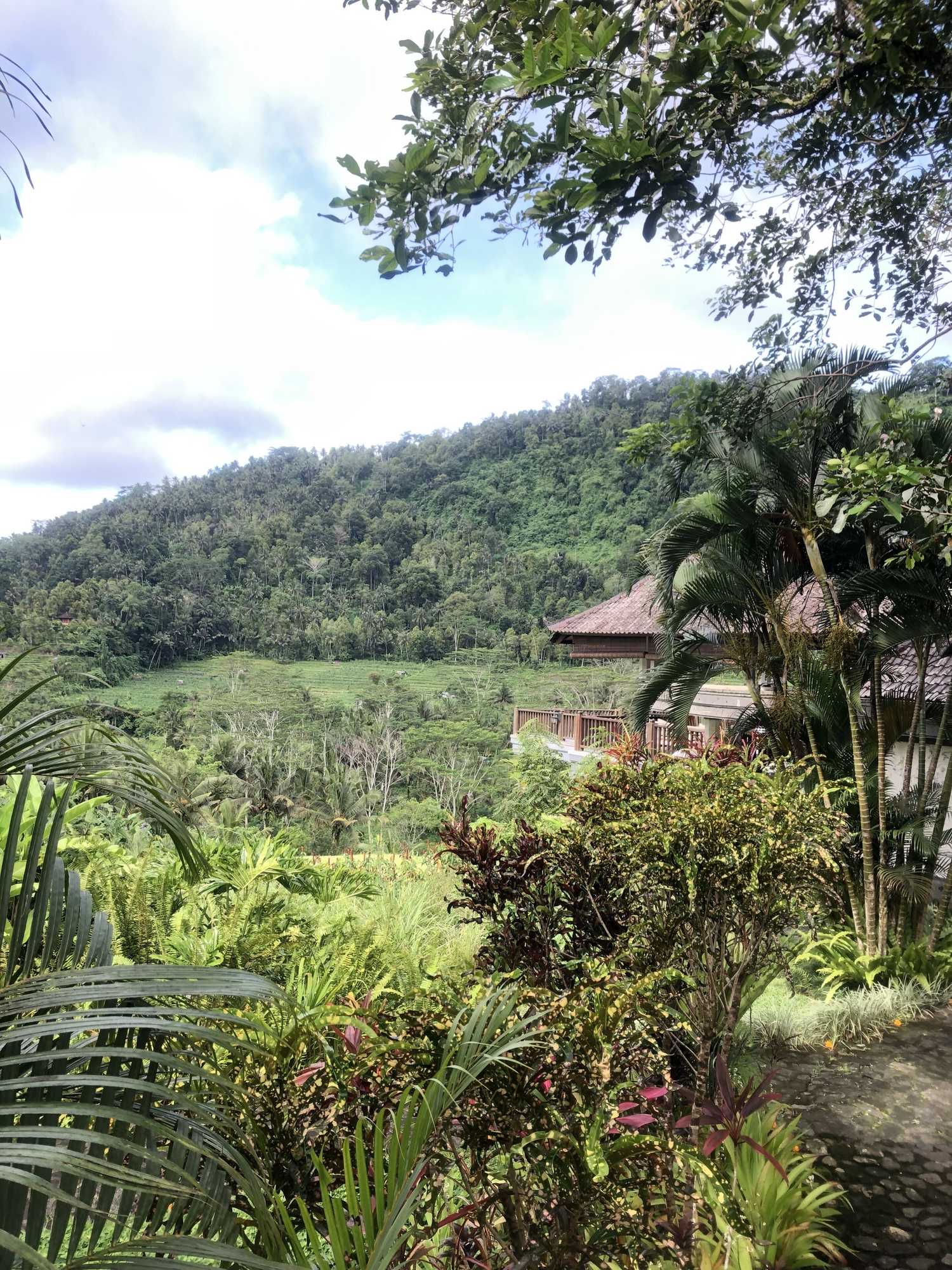 Gift card for Nirarta Centre For Living Awareness