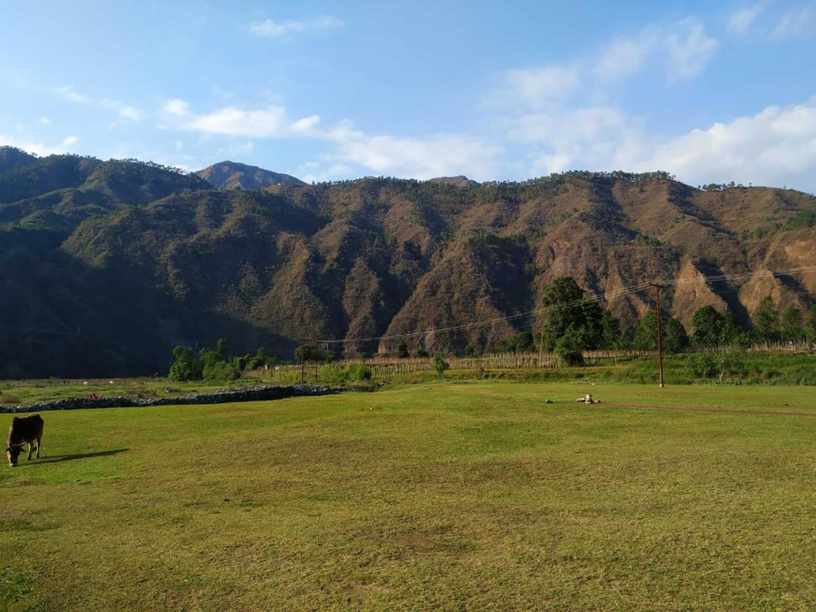 Gift card for Yellow Valley Homestay Gift card for Yellow Valley Homestay