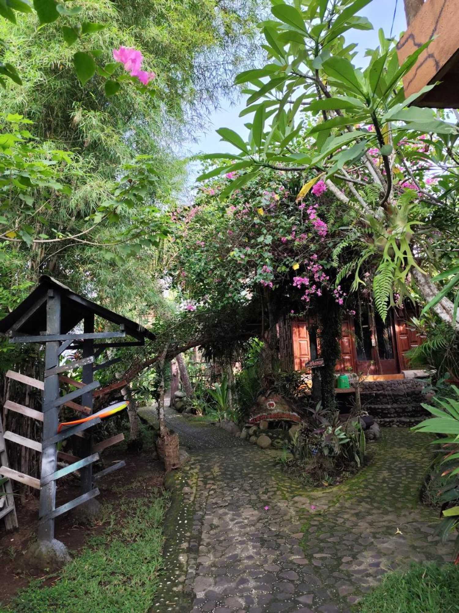 Gift card for Medewi Surf Homestay Gift card for Medewi Surf Homestay