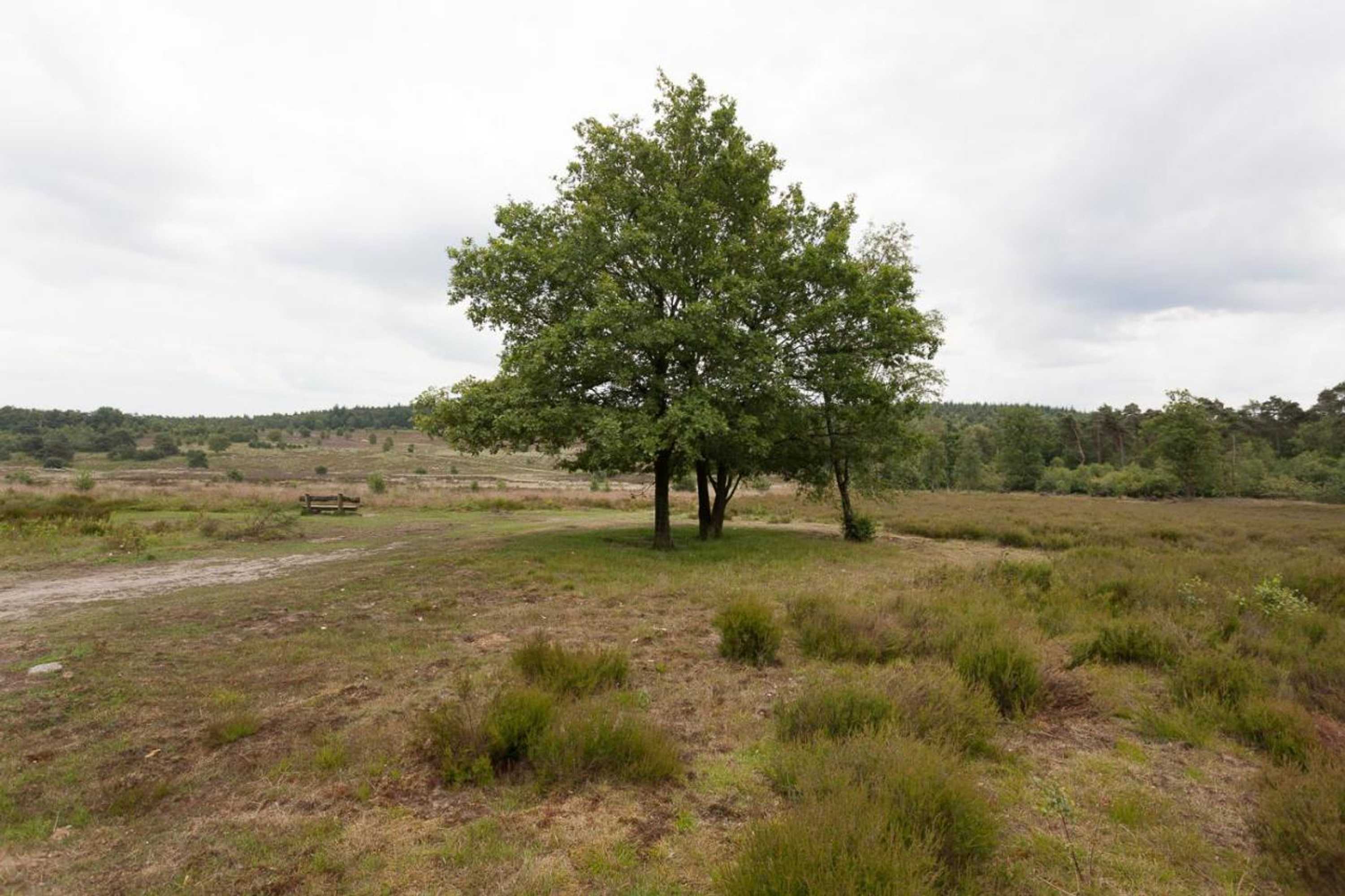 Gift card for Chalet Hoenderloo Beuk