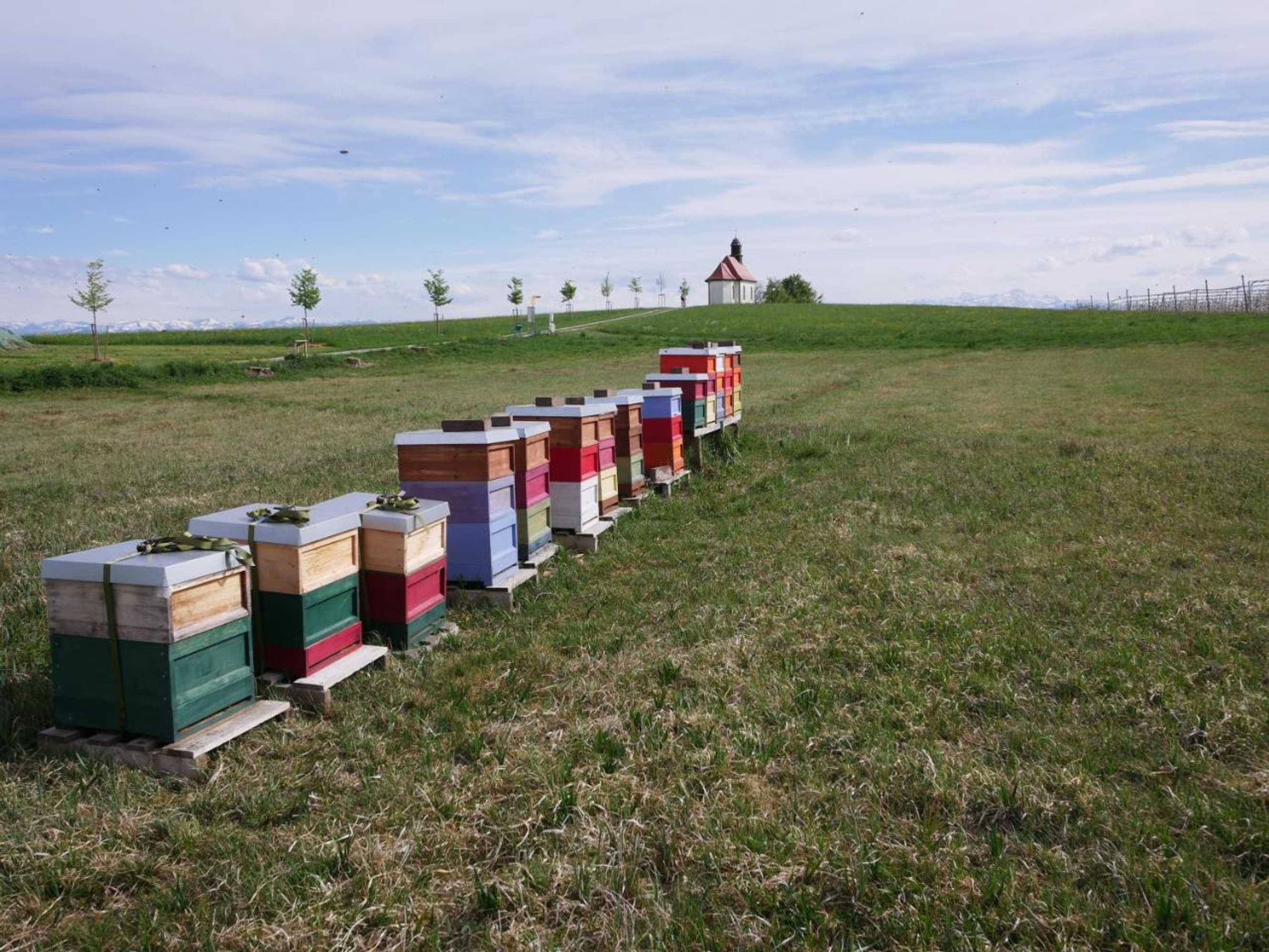 Gift card for Höhlerhof