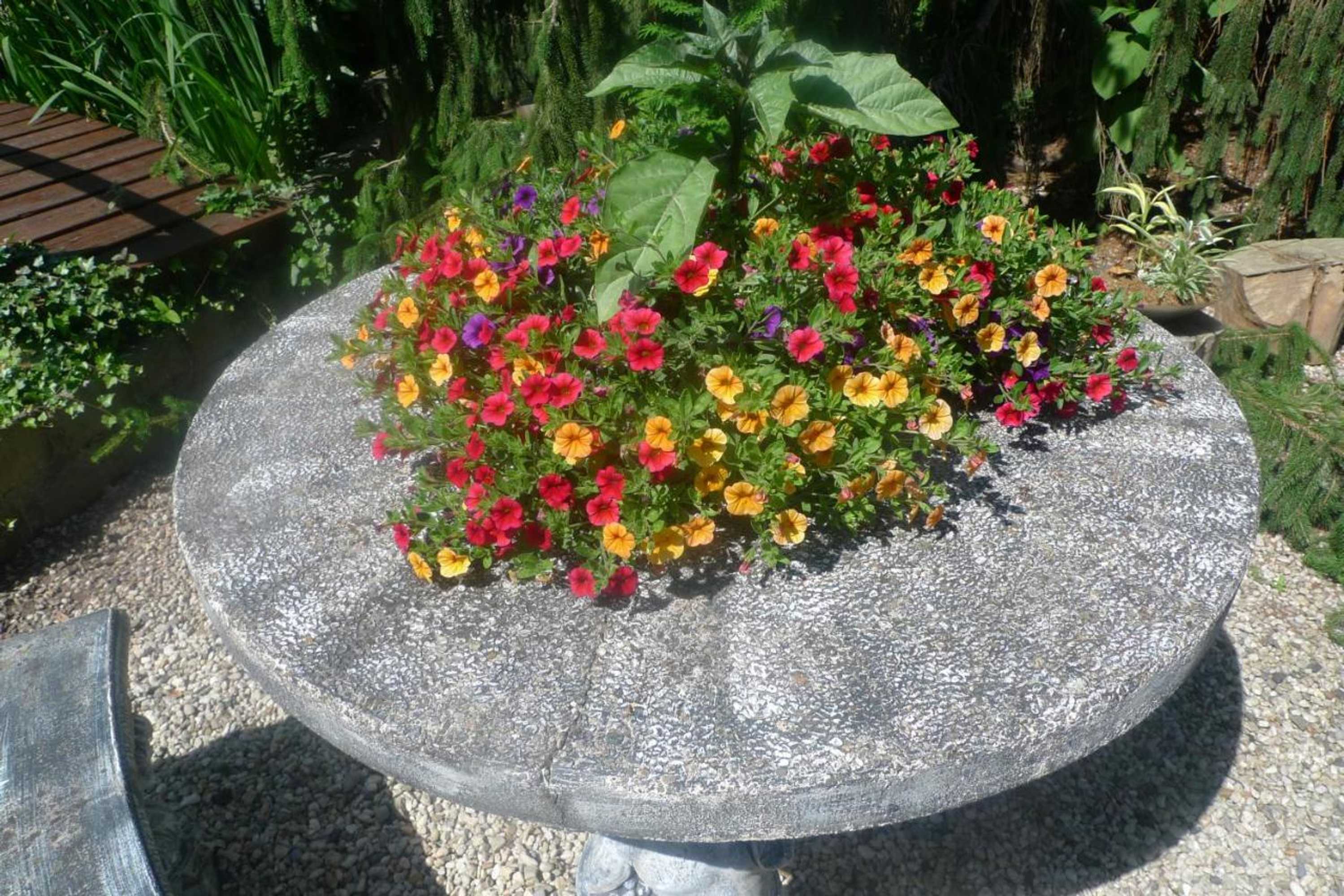 Gift card for B&b De Kleine Wijngaard