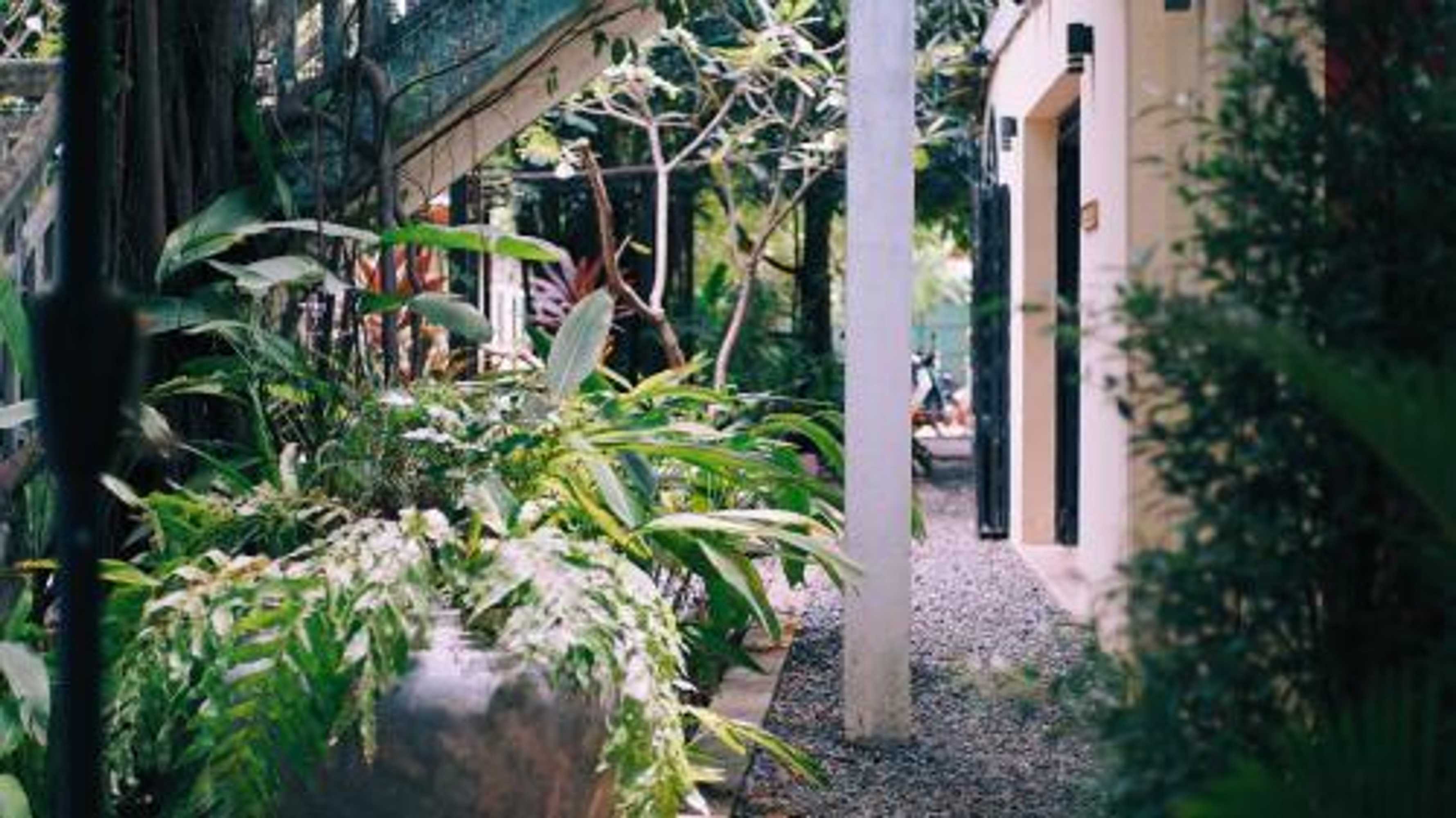 Gift card for Monkey Republic Kampot Gift card for Monkey Republic Kampot