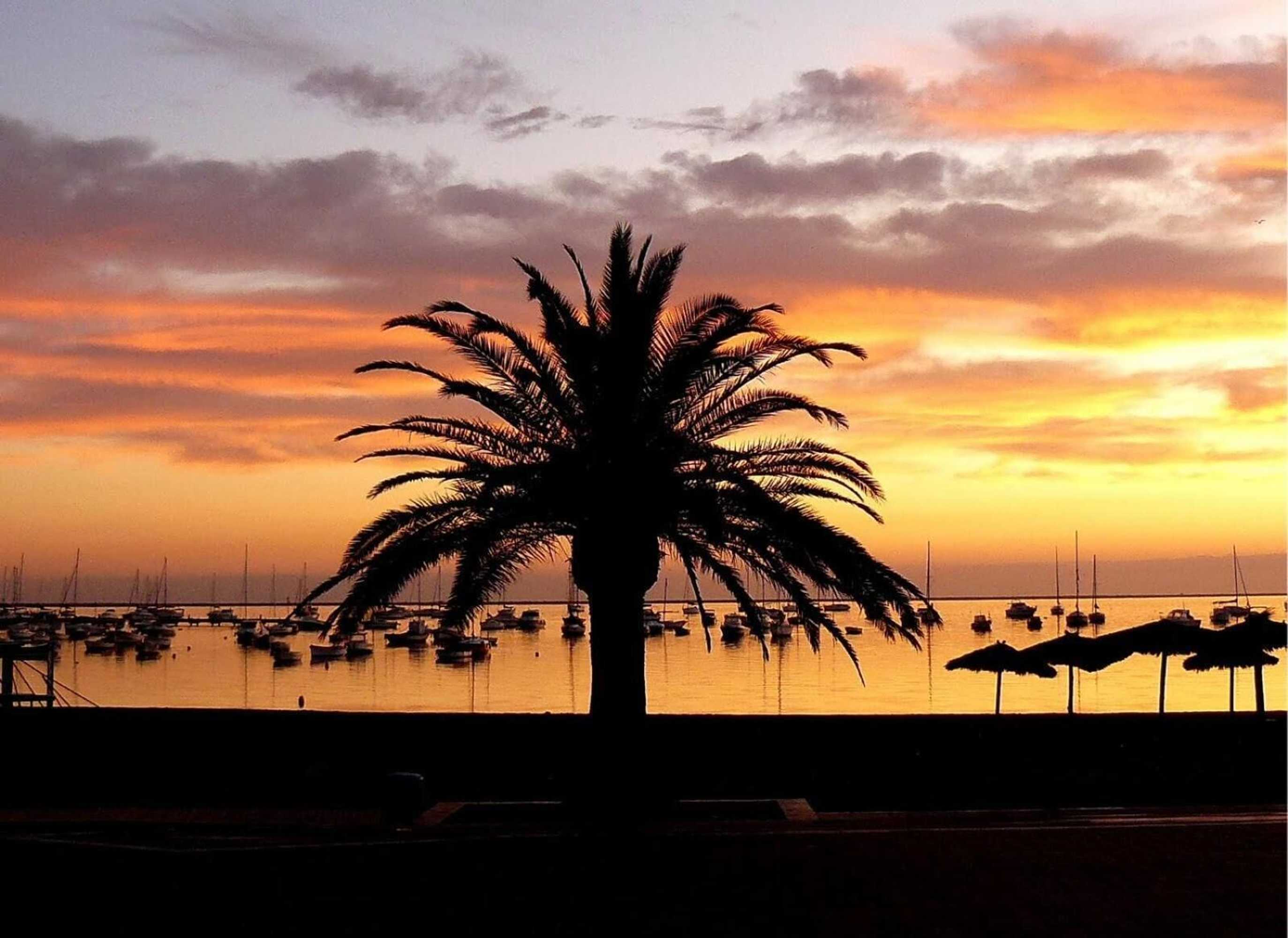 Gift card for Hotel Mar Menor Gift card for Hotel Mar Menor