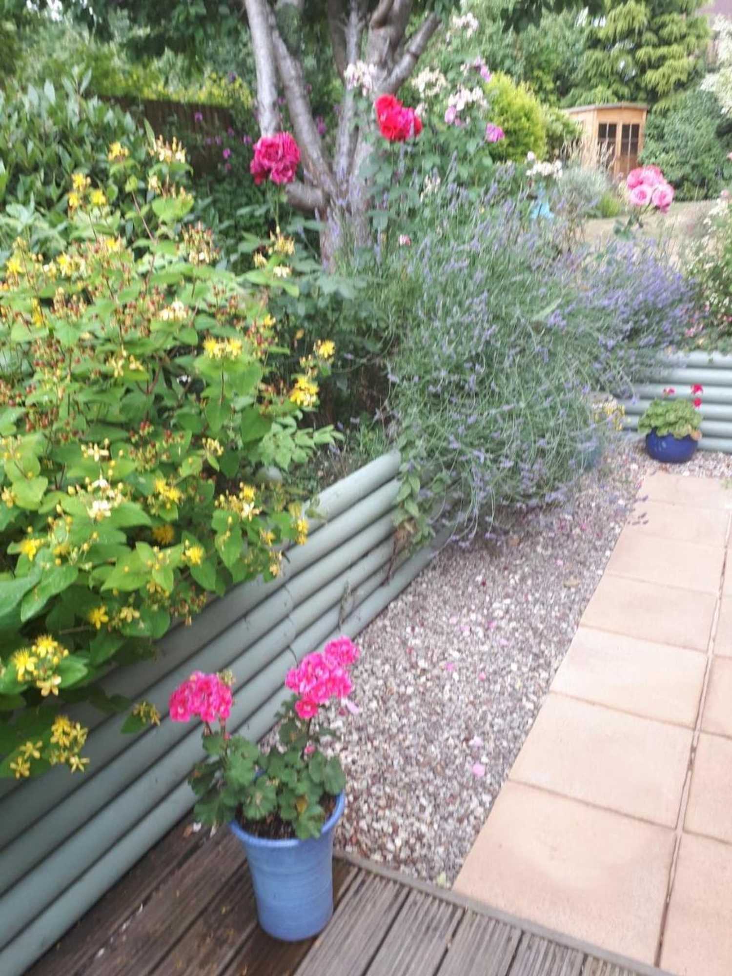 Gift card for Santi Bhavana Bed & Breakfast