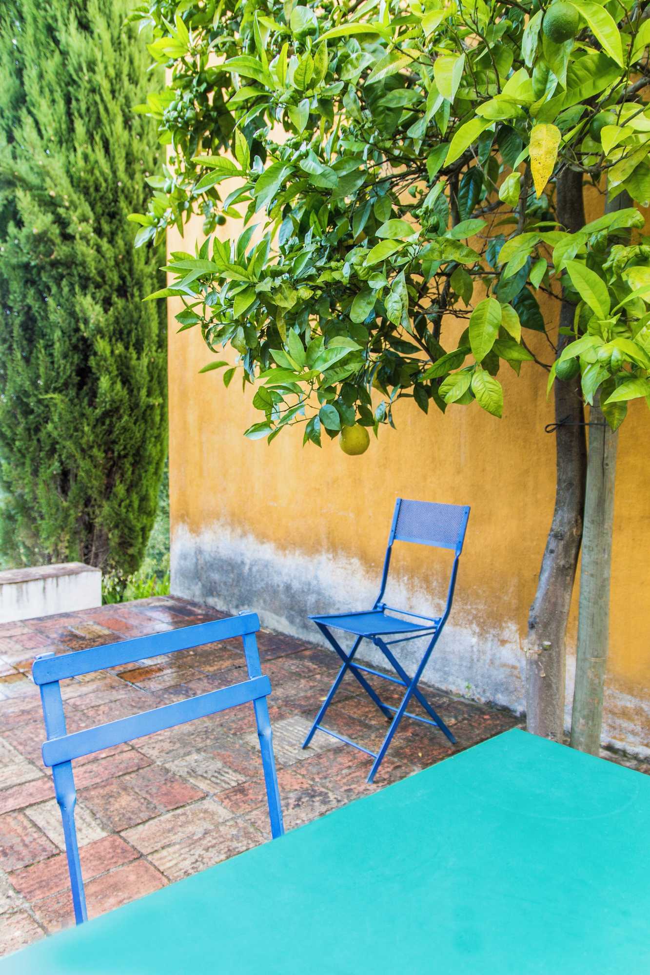 Gift card for Quinta do Barrieiro - Art Selection by Maria Leal da Costa