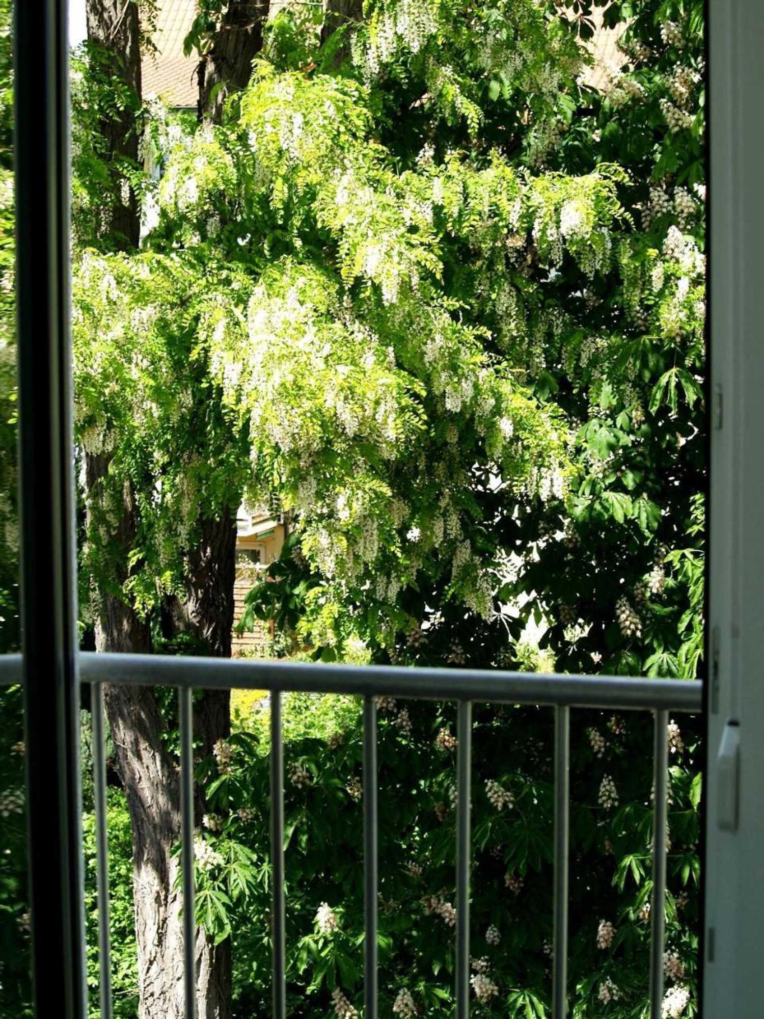 Gift card for Alte Stadtmauer - Apartment