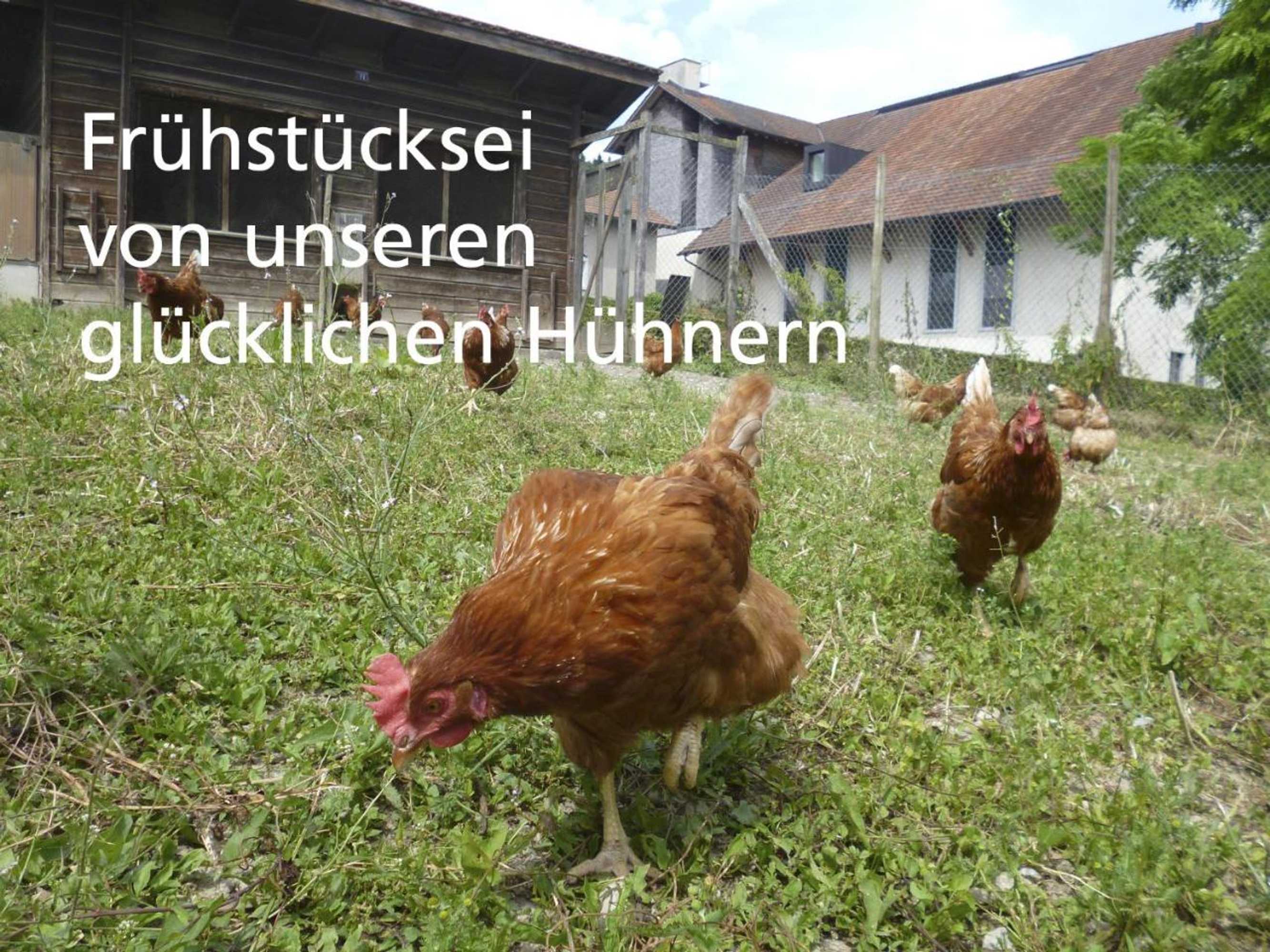 Gift card for Stiftung Kartause Ittingen