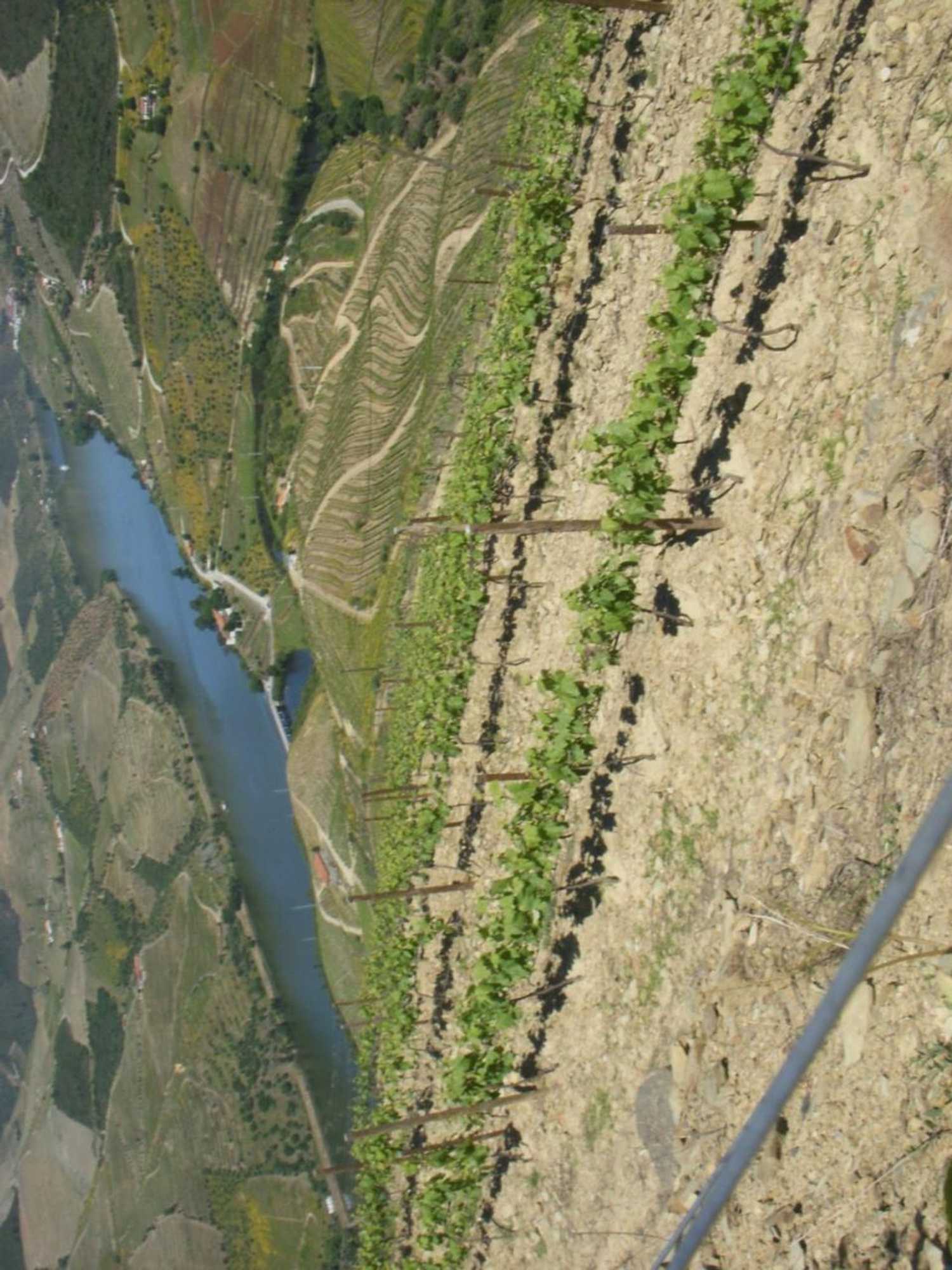 Gift card for Quinta Da Azenha