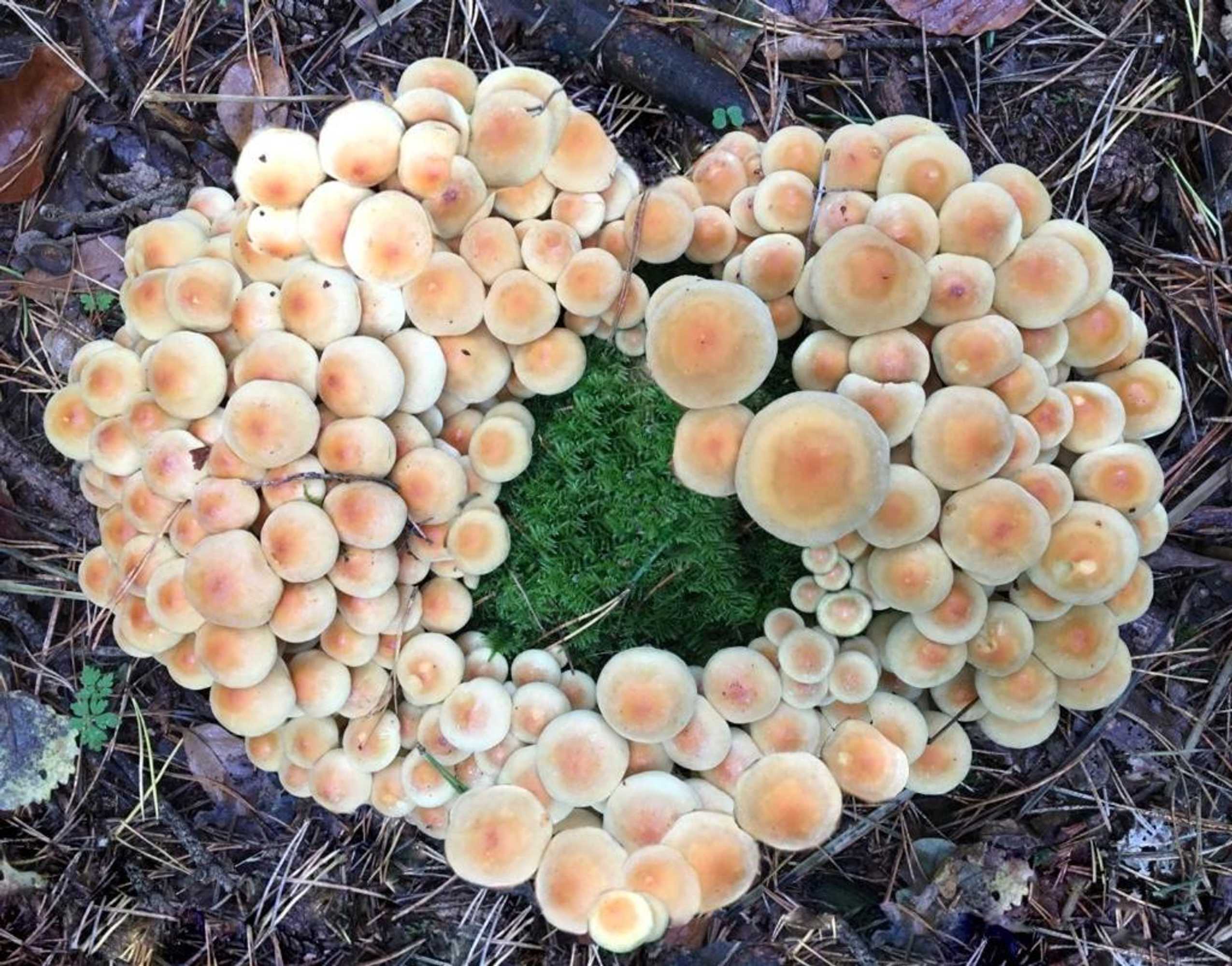 Gift card for 't Aarthuis