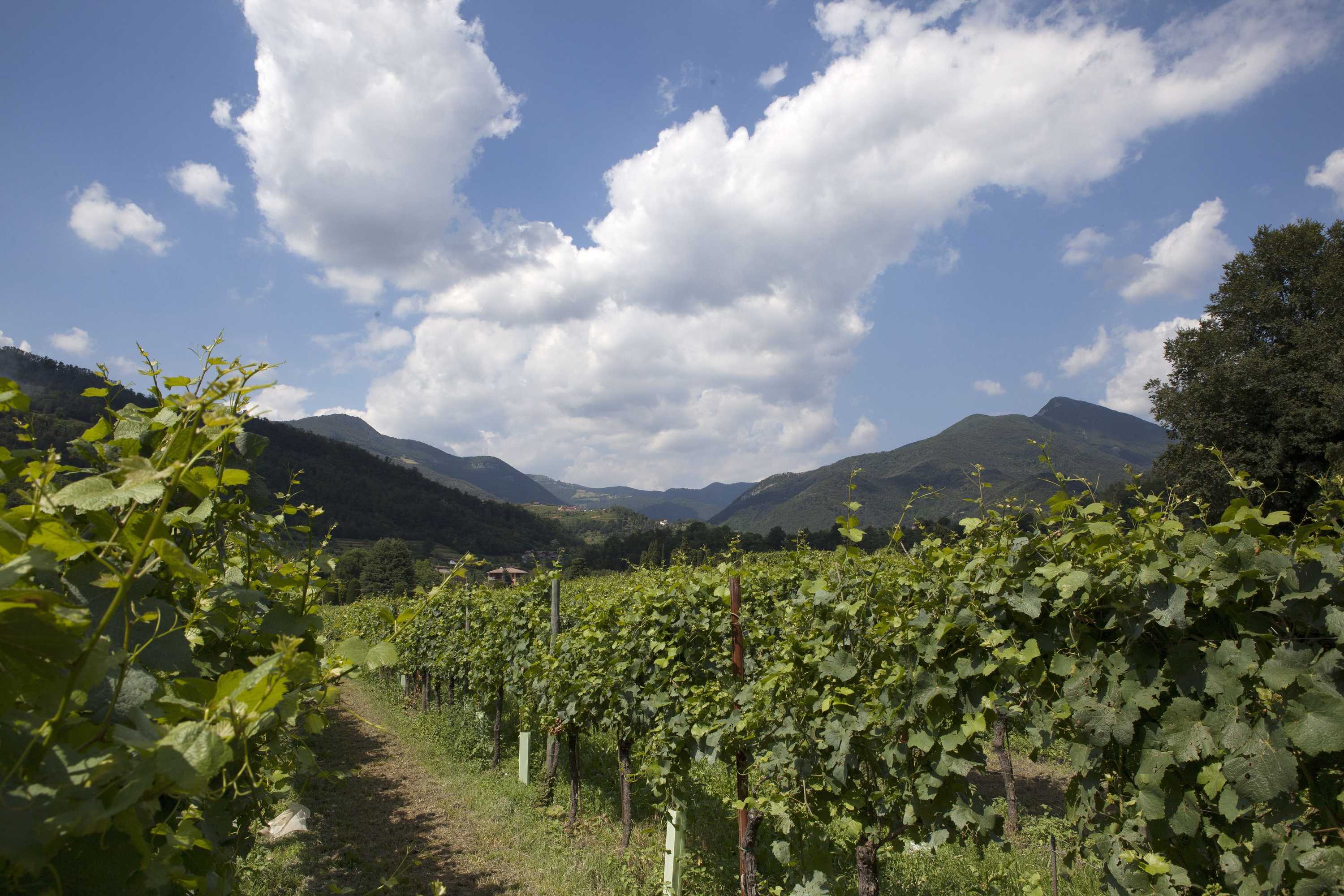 Gift card for Podere Castel Merlo Resort Gift card for Podere Castel Merlo Resort