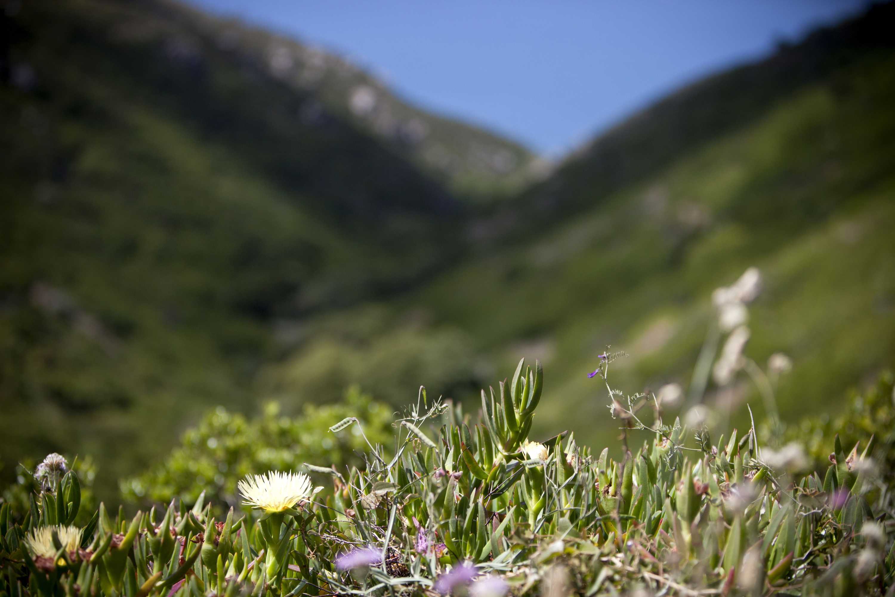 Gift card for Convento de São Saturnino