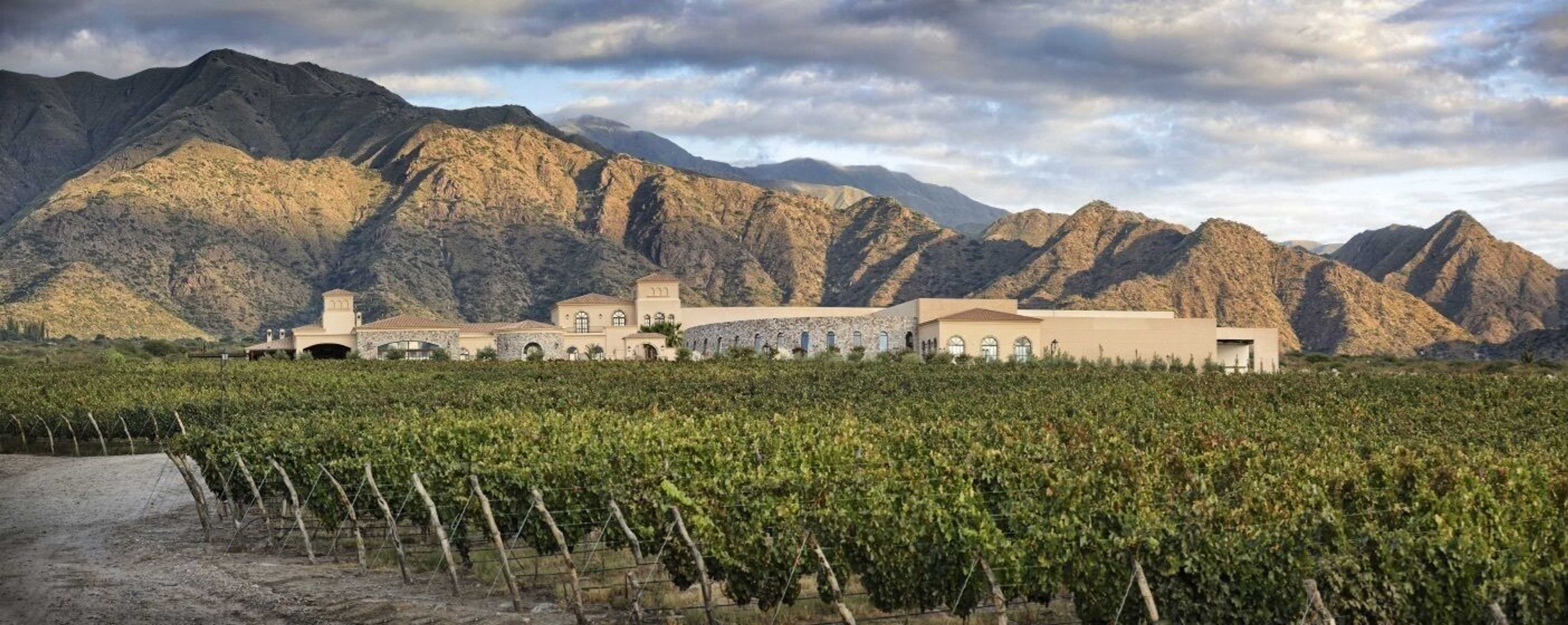 Gift card for Piattelli Wine Resort Hotel Cafayate Gift card for Piattelli Wine Resort Hotel Cafayate
