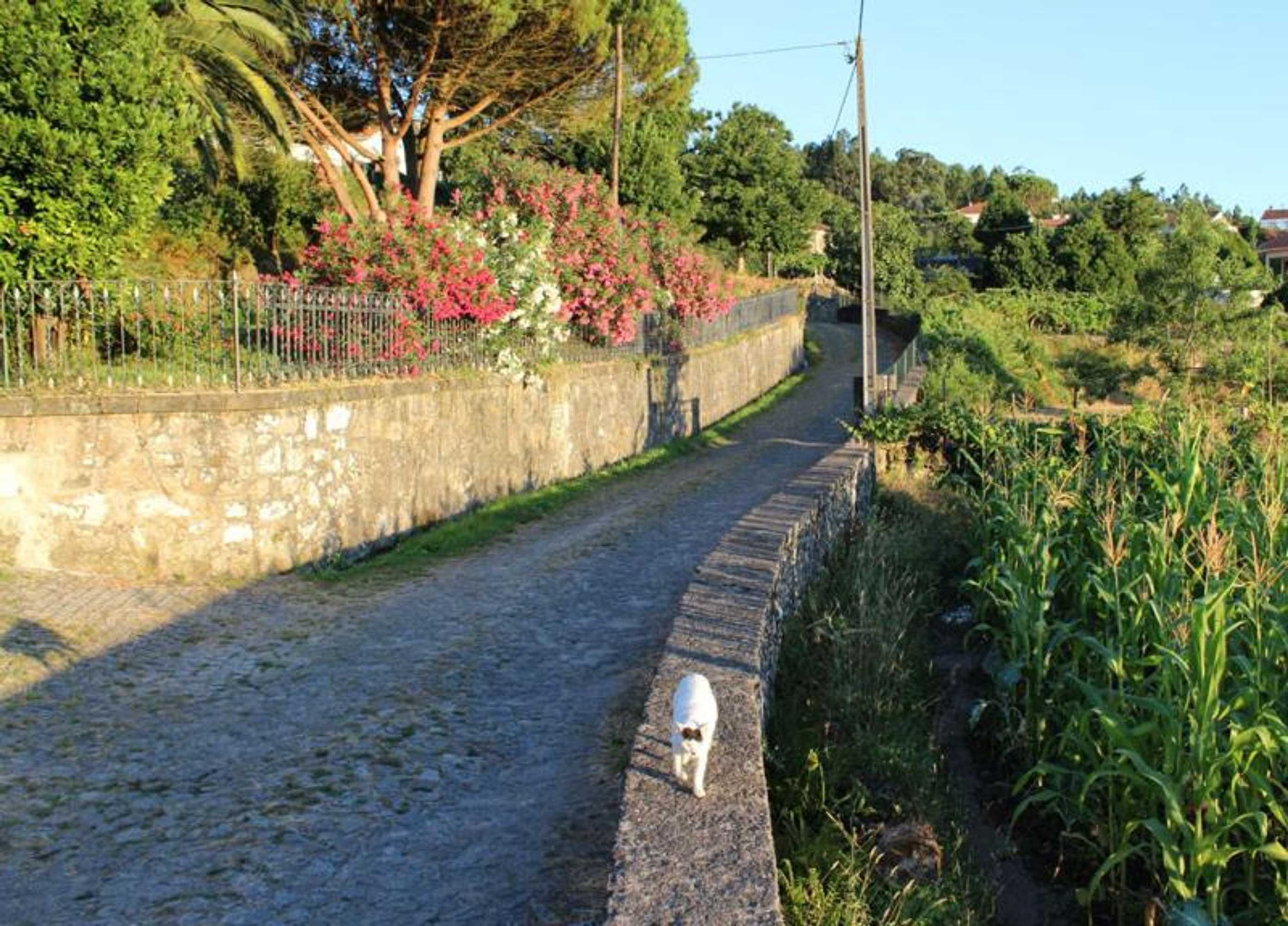 Gift card for Casa Gwendoline