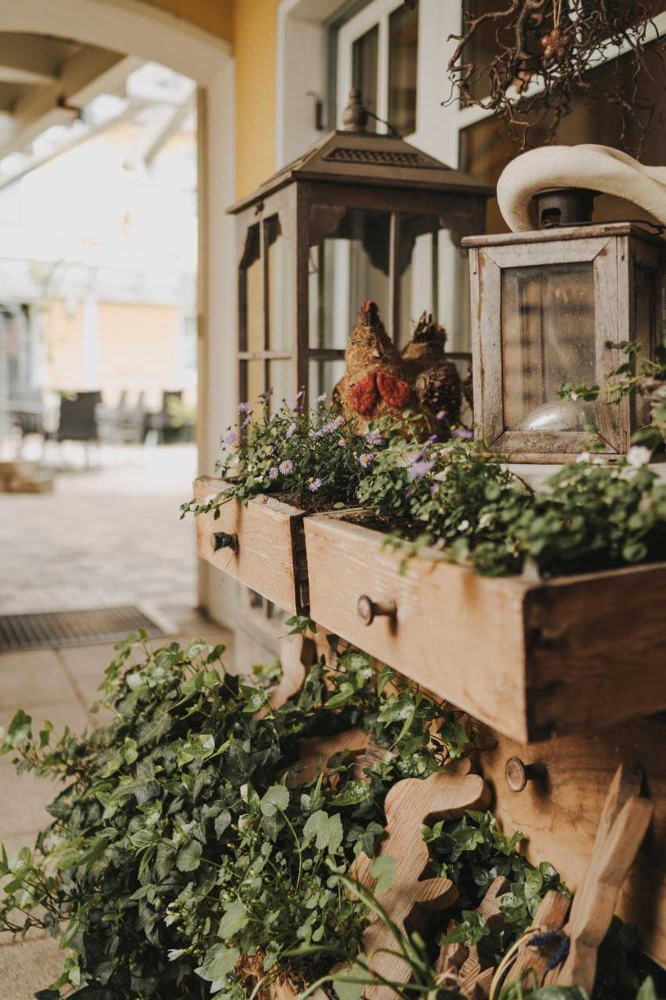 Gift card for Hotel Pension Futterknecht