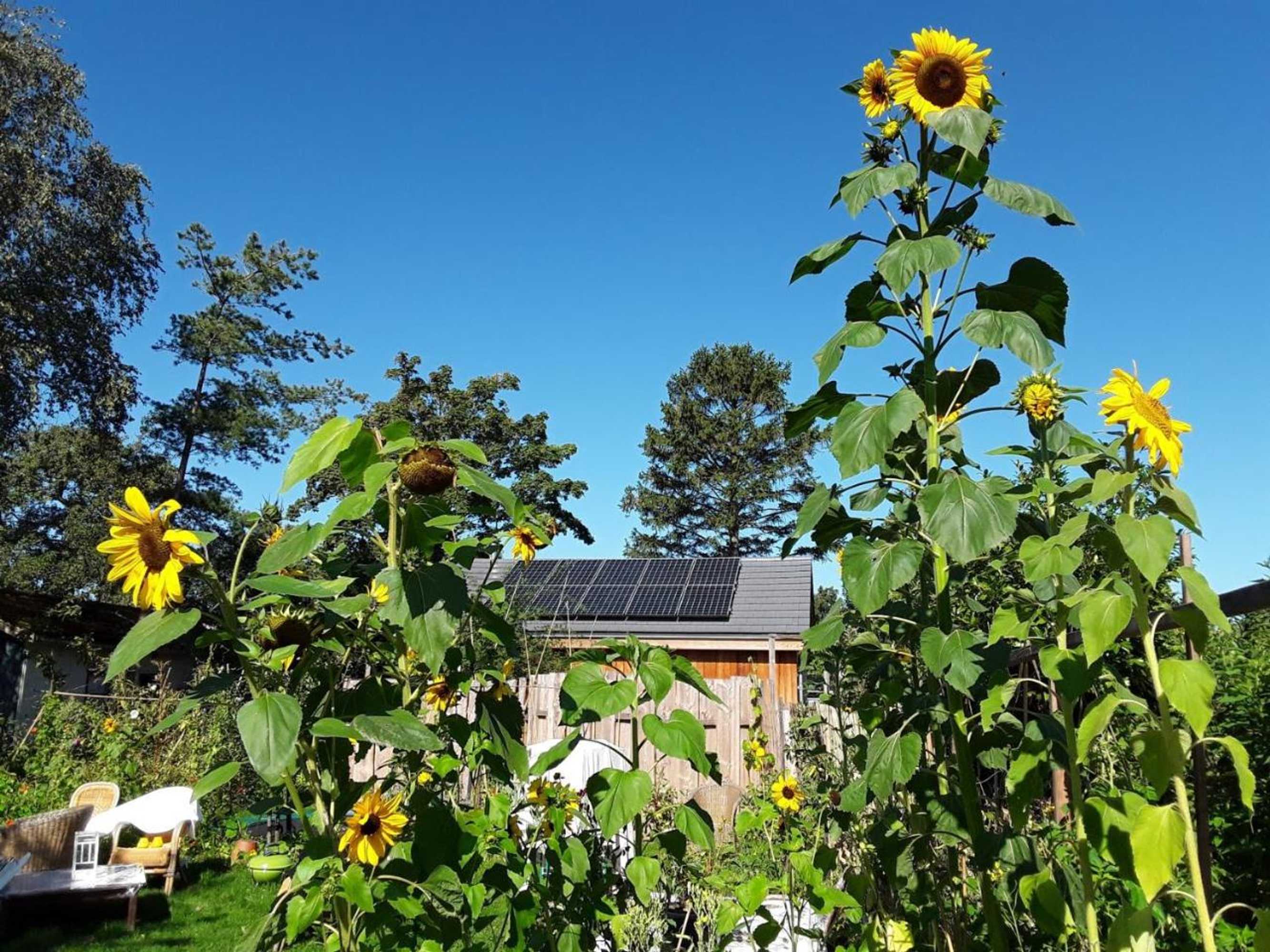 Gift card for Ecolodge de Parel Schoorl